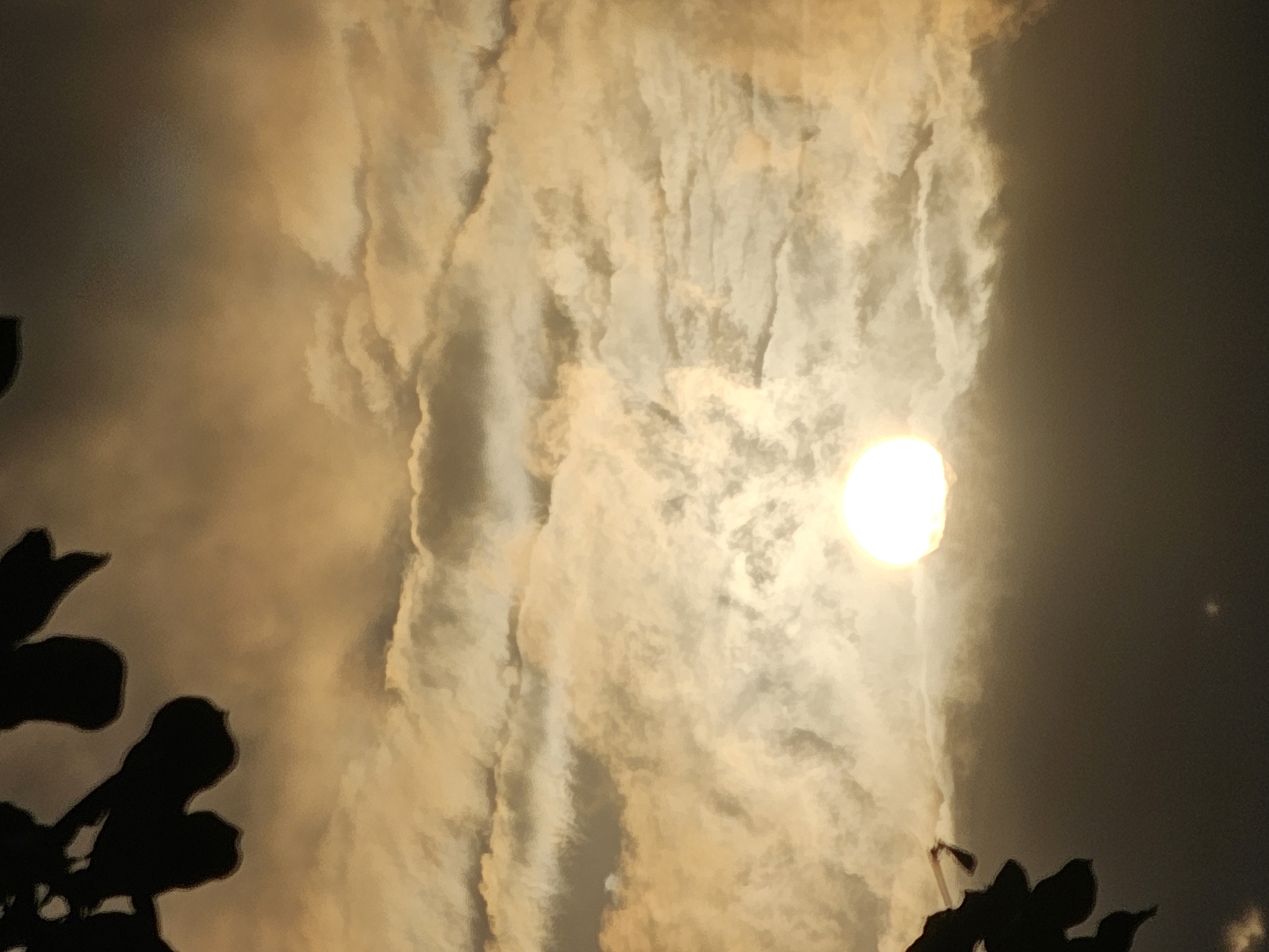 The image captures a sunset over Denpasar, Indonesia, with the sun a bright, luminous orb partially obscured by dramatic, golden-hued clouds. Silhouetted leaves from a tree frame the upper left and lower left corners of the shot, adding a touch of foreground contrast to the expansive sky. The lower portion of the image is darker, suggesting the encroaching twilight.