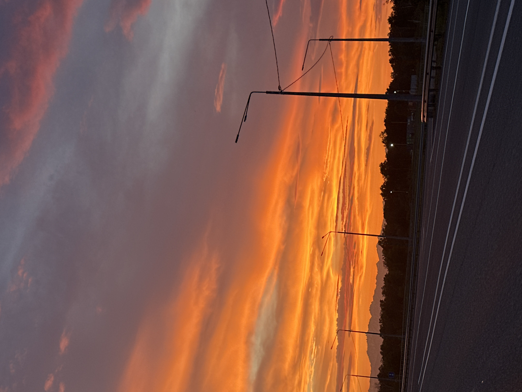 A vertical, full shot captures a vibrant sunset over a highway in Yelizovo, Russia. The sky is ablaze with streaks of orange, red, and purple, indicative of a dramatic twilight. Wispy clouds catch the fading sunlight, creating a painterly effect across the upper half of the frame.
In the mid-ground, a dense line of dark trees forms a silhouette against the bright sky. Beyond the trees, the faint outlines of mountains are visible, their peaks softened by the distance and atmospheric haze.
Several tall, slender lampposts, typical of highway lighting, stand silhouetted against the colorful sky. They are equipped with multiple lights and wires connect them, stretching across the scene. The lampposts are positioned along the side of the road, with guardrails visible between them.
The foreground is dominated by a dark asphalt highway, marked with white lines indicating lanes. The road stretches into the distance, seemingly empty of vehicles. The perspective suggests the photograph was taken from the side of the road, possibly from a moving vehicle or a roadside vantage point. The overall impression is one of a vast, open landscape at the end of the day, with the dramatic sky being the focal point.