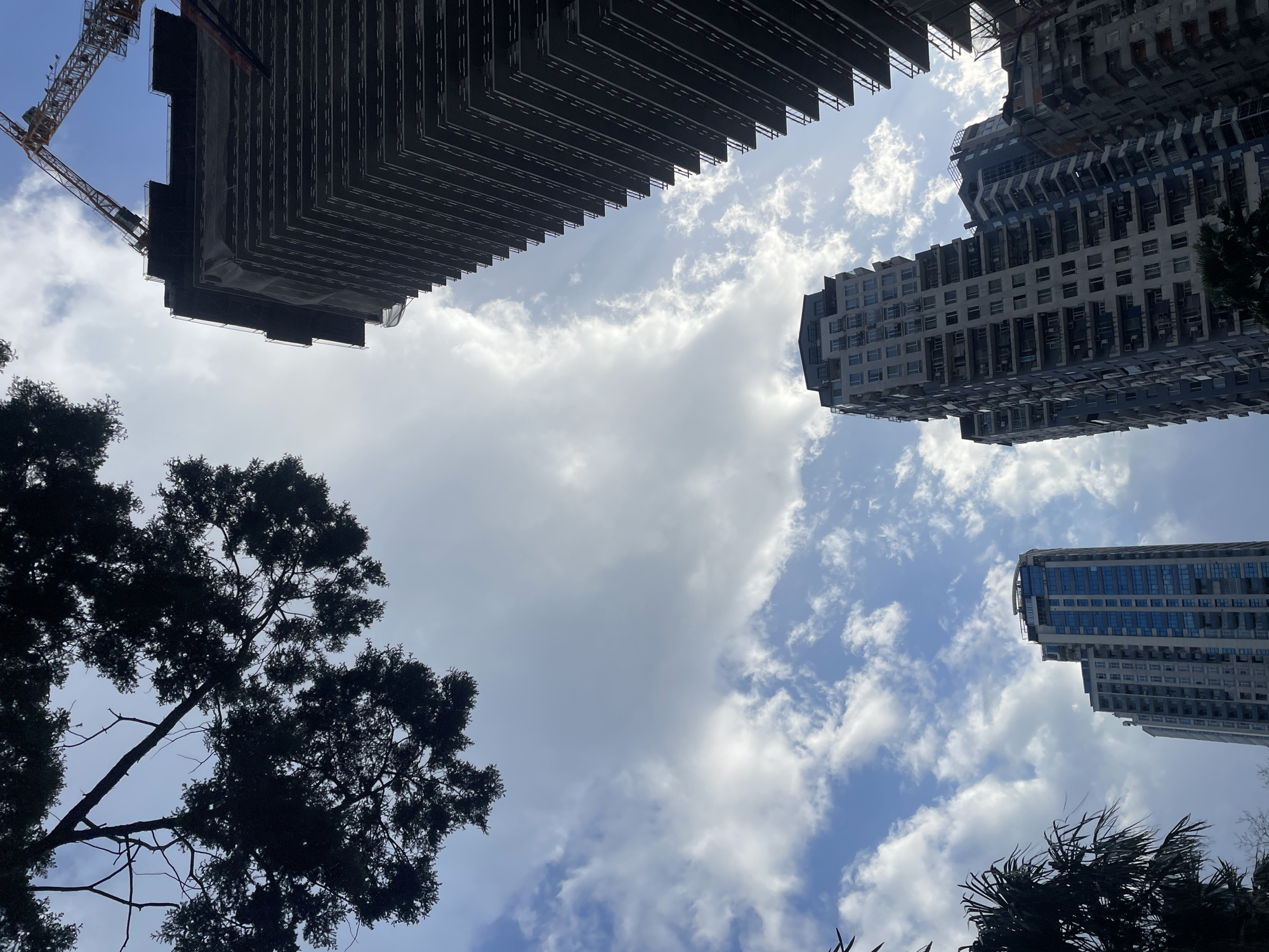 The image is a low-angle shot of skyscrapers under construction in Batumi, Georgia. One building on the left is in the early stages of construction, with a crane nearby. Two completed high-rise buildings with balconies are visible on the right. The sky is filled with white clouds, and tree branches are in the lower left of the frame.