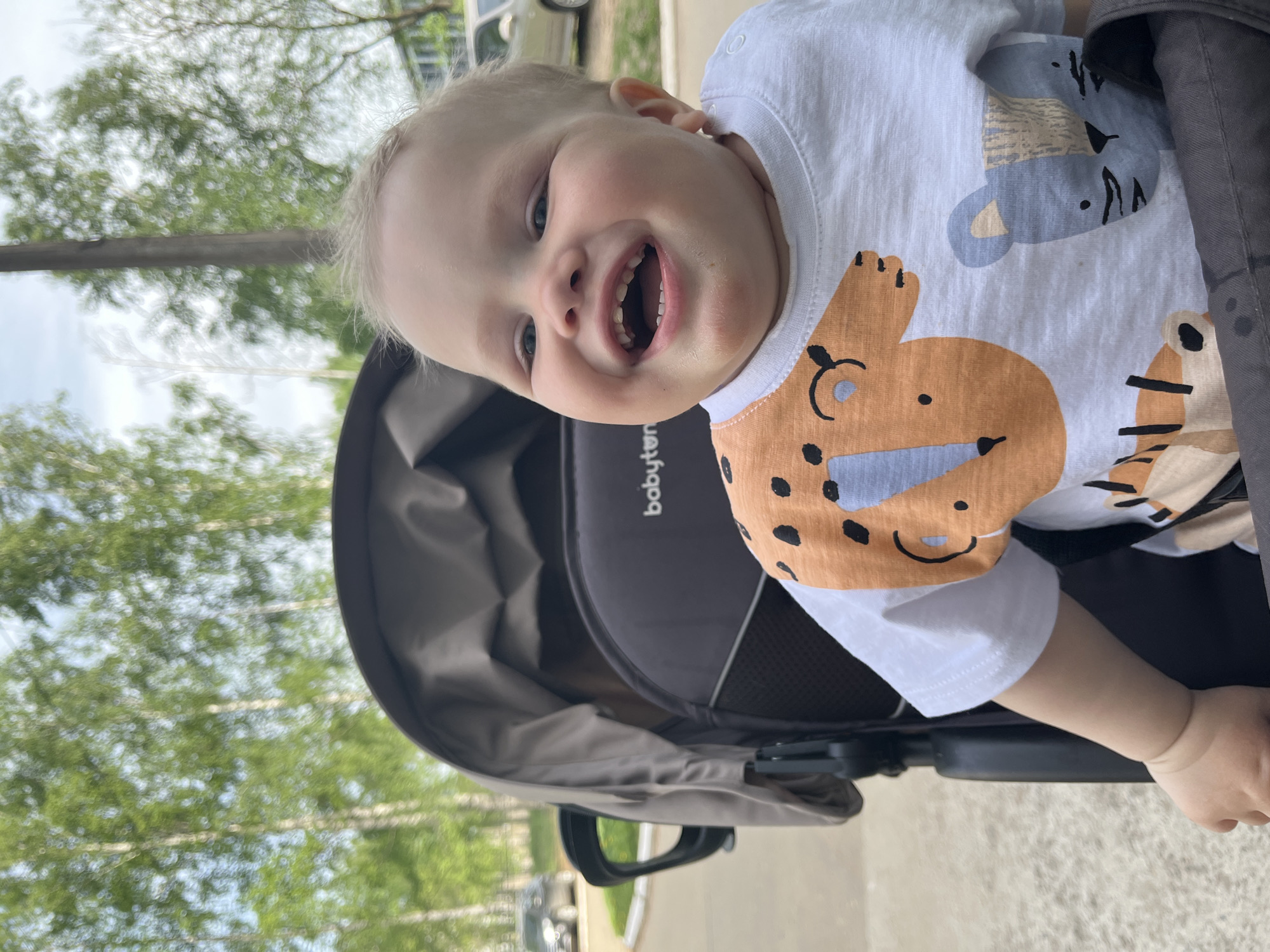 A baby is sitting in a stroller outside on what appears to be a paved street. The baby is fair-skinned and has a broad smile, revealing their upper and lower teeth. The baby is wearing a white shirt with cartoon animal images printed on it, including a tiger, a koala, and another animal. The stroller is a dark gray color and has the word "babyton" printed on it. In the background, there are trees with green leaves and parked cars. The location appears to be Chaikovsky, Russia.