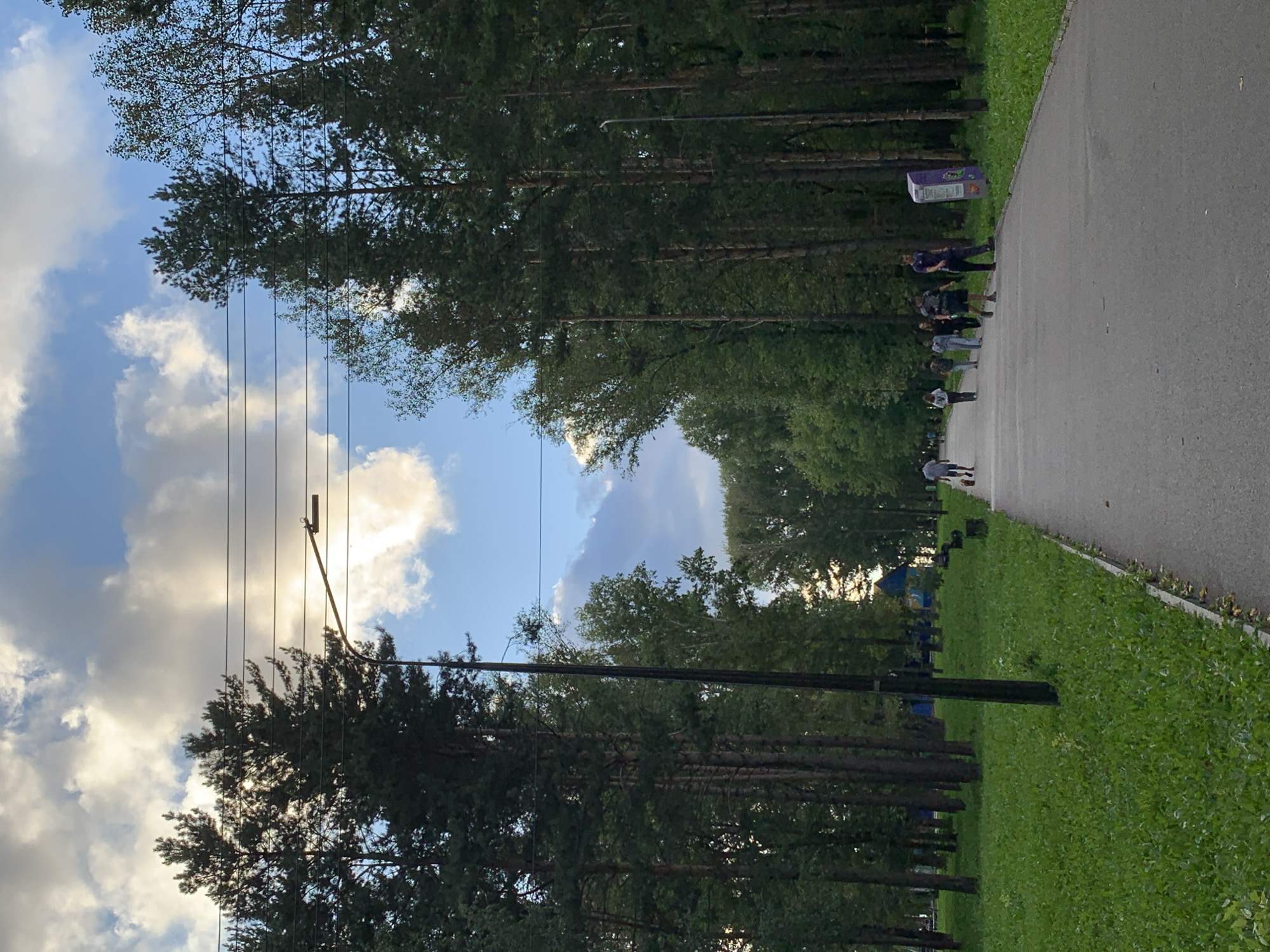 A paved pathway winds through a park lined with tall, dense coniferous trees. A grassy area with lush green grass stretches to the left, dotted with scattered trees. In the distance, a few people are walking along the path, one with a dog. The sky above is a mix of blue with scattered white and gray clouds. A lamppost with wires is visible on the left side of the pathway, and another lamppost is further down on the right. A purple recycling bin stands on the right side of the pathway. The overall impression is a serene park scene on a cloudy day. The location is the Park of Culture and Rest in Prokopyevsk, Russia.