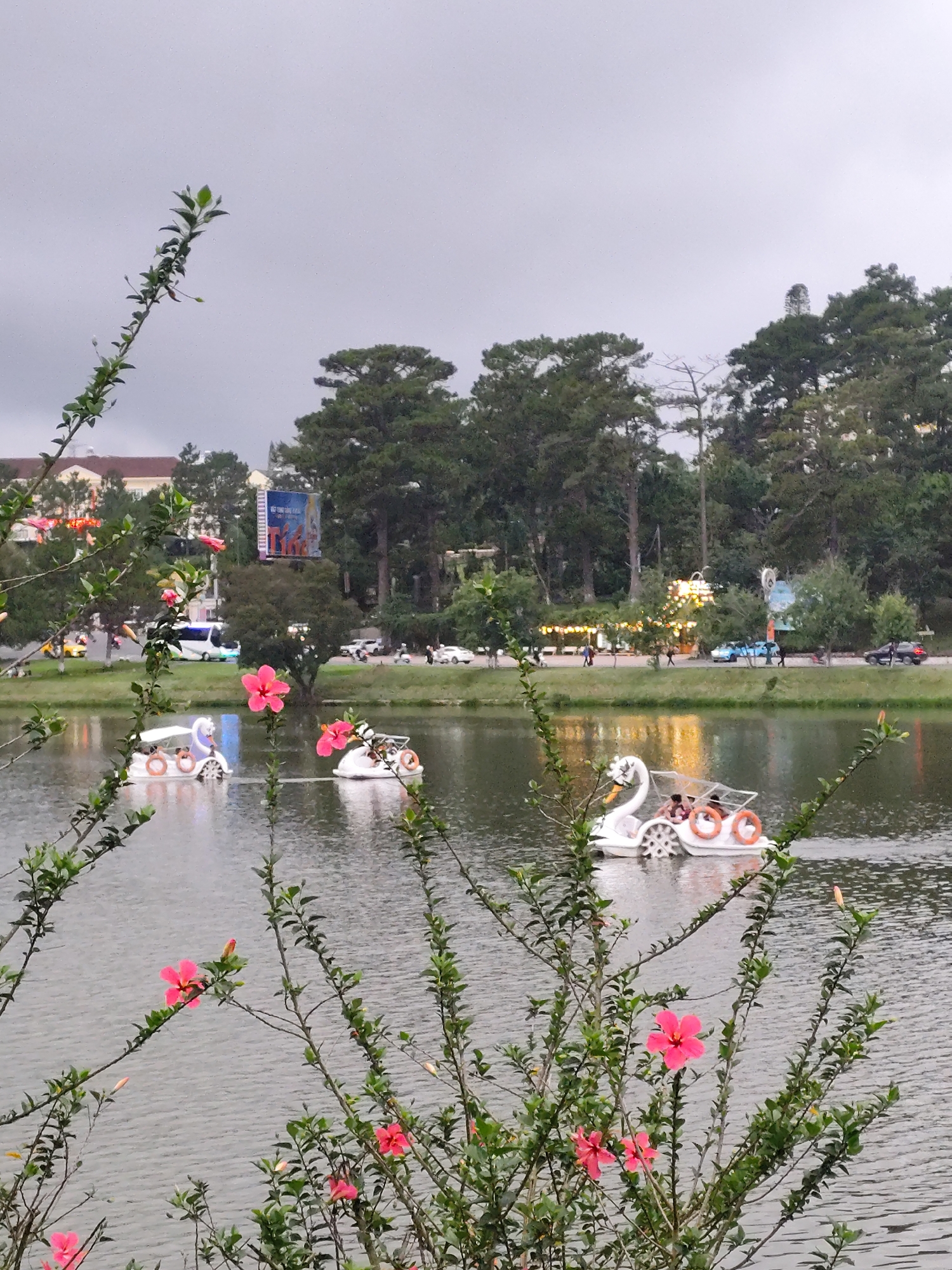 The image depicts a lake in Da Lat, Vietnam on an overcast day. Three swan-shaped paddle boats are visible on the water, each with several occupants. In the foreground, a flowering shrub with pink hibiscus-like blooms partially obscures the view. Behind the lake, a road with cars and pedestrians runs along the shore, backed by a line of tall pine trees. A building is discernible to the far left, and a billboard is visible.