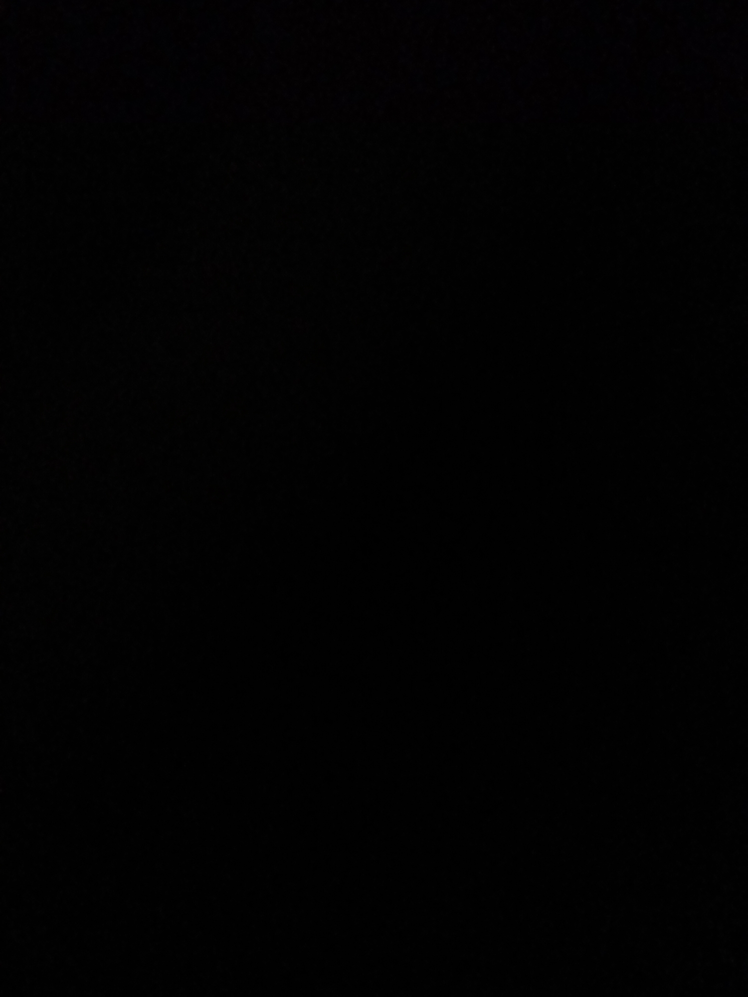 The image is a black rectangle. There is no discernible subject matter, activity, or notable detail. No text is visible.