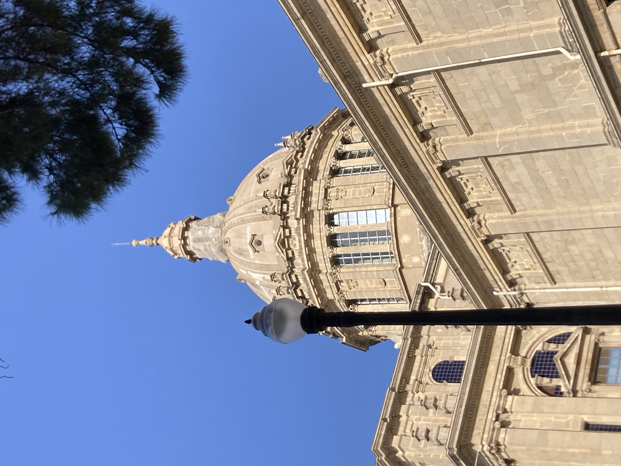 A low-angle, full shot captures the dome of the National Palace of Montjuïc in Barcelona, Spain, against a clear blue sky. The building's facade is constructed of light-colored stone, with classical architectural elements such as columns, pediments, and decorative carvings visible. A prominent dome with a lantern on top dominates the upper center of the frame. In the foreground, a dark lamppost with a frosted glass lamp rises vertically on the left side. A black bird is perched on top of the lamppost. A portion of a dark green pine tree branch extends into the upper right corner of the image, casting shadows. The lighting suggests it is daytime with the sun casting shadows on the building.