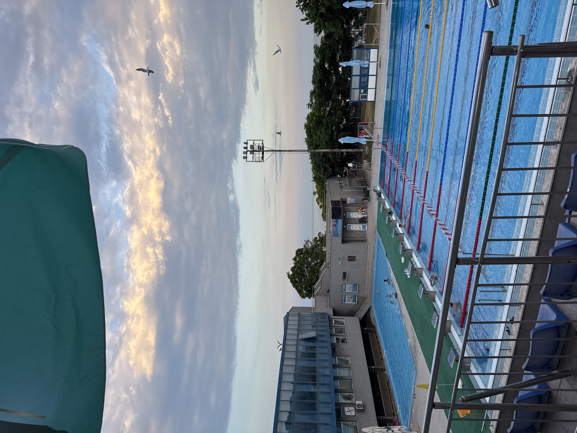 The image shows an outdoor swimming pool complex with multiple lanes marked by buoys. Several people are swimming in the pool. In the background, there are buildings, trees, and a tall light pole. The sky is filled with clouds, some of which are illuminated by the setting sun, indicating it is late afternoon or early evening. Two seagulls are flying in the sky. In the foreground, a blue umbrella is partially visible, suggesting it is a sunny day with some shade provided. The overall setting appears to be a recreational facility, likely in a warm climate. The image is oriented vertically, making the pool appear to run from top to bottom.