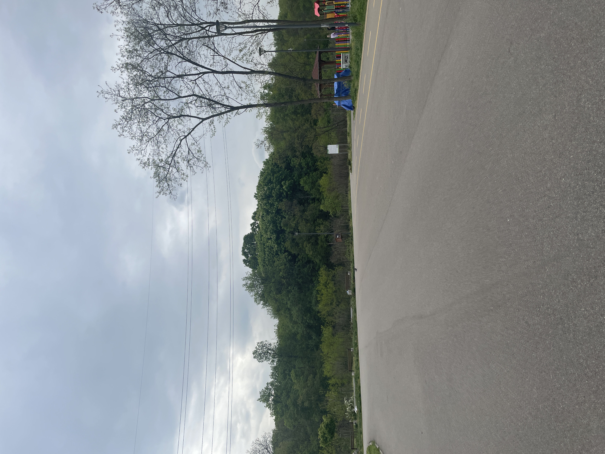 The image depicts a parking lot adjacent to a park. The lot is asphalt with yellow parking lines. To the left of the parking lot is a wooded area with various trees, some deciduous and some evergreen. Overhanging the trees are power lines and a cloudy sky. Further in the distance, a playground with colorful equipment is visible. It is not possible to determine the location in Sofia, Bulgaria, from this image alone.