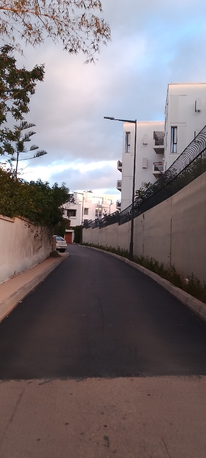 A street scene depicts a dark asphalt road curving uphill. On the left, a wall overgrown with foliage lines the street, with a white car parked beside it. To the right, a tall concrete wall topped with a black metal fence runs along the road, behind which are modern white apartment buildings with balconies. A street lamp stands tall next to the wall. The sky above is a mix of blue and grey clouds, with tree branches visible in the upper corners.