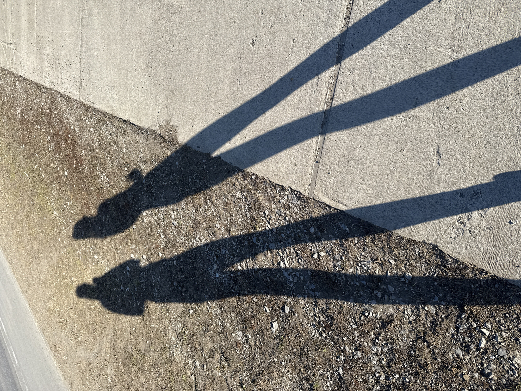 An overhead view captures sharp, elongated shadows cast by two individuals and a parallel linear structure onto diverse ground surfaces. The shadows of two people, distinguishable by their head and torso shapes, fall upon an unpaved area of dry, sparse grass and scattered gravel, predominantly in the lower-left quadrant of the image.
Running diagonally across the frame, from the top-right towards the bottom-left, are several parallel, dark shadows, consistent with those cast by railings, posts, or a similar linear barrier, possibly part of a bridge or an elevated structure.
The ground itself comprises multiple textures: a large expanse of light gray concrete, likely a wall or pathway, dominates the upper and right portions of the image. This concrete surface meets the rougher terrain of dirt, gravel, and dry vegetation in a sharp diagonal line across the center. A narrow sliver of what appears to be a paved road or asphalt is visible along the far-left edge.
The distinct outlines and significant length of all shadows indicate strong, direct sunlight and a low sun angle, suggesting either early morning or late afternoon. The scene is devoid of any visible text. This outdoor setting is located in Chaikovsky, Russia.