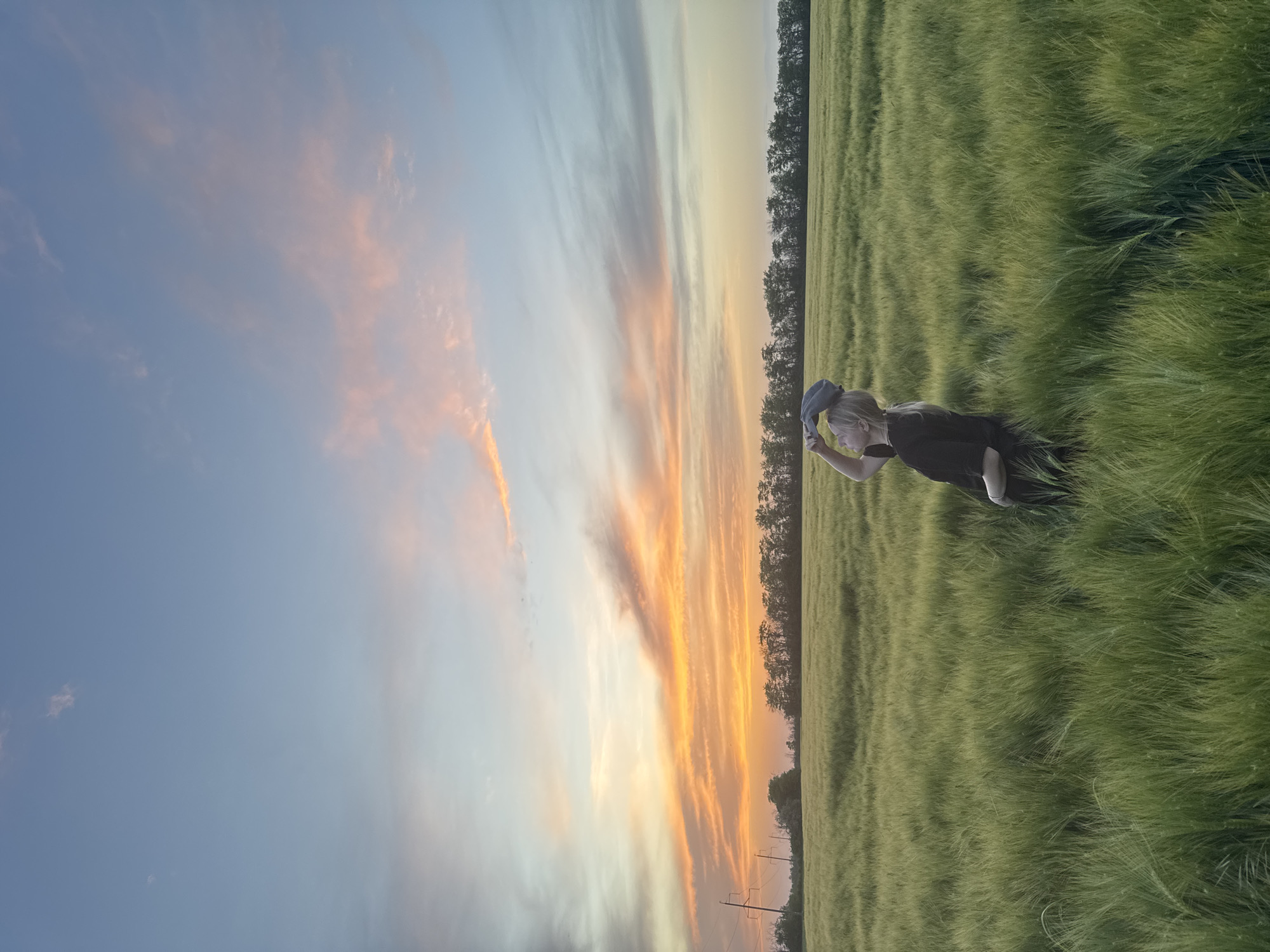 A vertical outdoor shot depicts a person in a field at sunset in Beysug, Russia. The subject, a person with fair hair, is standing in a field of tall, green grass-like plants. They are wearing a dark-colored shirt and holding a cap on their head. To the left, the sky transitions from blue to orange, with streaks of clouds tinged with the colors of the sunset. Along the horizon, a line of trees is visible, silhouetted against the sky. Further down, there are power lines and poles. The scene evokes a sense of serenity and peacefulness.