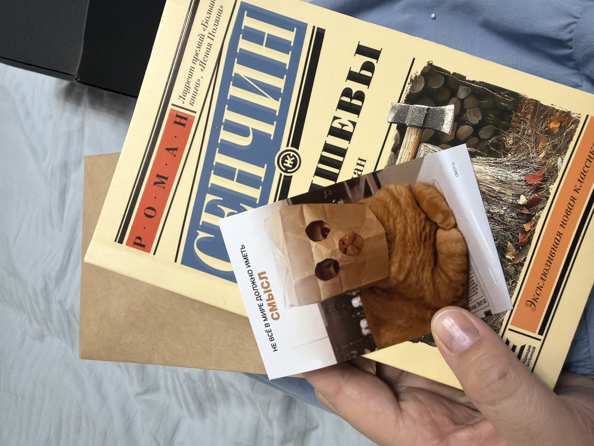 A close-up, high-angle shot captures a person's hand holding a book and a small card, set against a light blue fabric surface, possibly a bed or clothing. The book, a "РОМАН" (Novel), is prominently titled "СЕНЧИН" (Senchin) with "ШЕВЫ" (Shevy) partially visible, suggesting the author's surname. It is described as a "Лауреат премий «Большая книга», «Ясная Поляна»" (Laureate of "Big Book" and "Yasnaya Polyana" awards) and part of an "Эксклюзивная новая классика" (Exclusive New Classics) series by "ЕДАКЦИЯ ШУБИНОЙ" (Shubin's Editorial). The book's cover art depicts an axe leaning on stacked logs, with scattered autumn leaves on the ground.
Tucked into or held against the book is a small rectangular card, possibly a bookmark or print. It features an image of an orange cat wearing a paper bag with eye and nose holes cut out. The card displays the Russian text: "НЕ ВСЁ В МИРЕ ДОЛЖНО ИМЕТЬ СМЫСЛ" (Not everything in the world must have meaning), along with the small code "OMOT10". The hand holding the items shows natural, unpainted fingernails. In the upper left corner, a dark, possibly black, box or object is partially visible, and a light brown paper or envelope is seen beneath the book. The scene appears to be an indoor setting in Chaikovsky, Russia, capturing a quiet moment involving literature and a humorous visual.