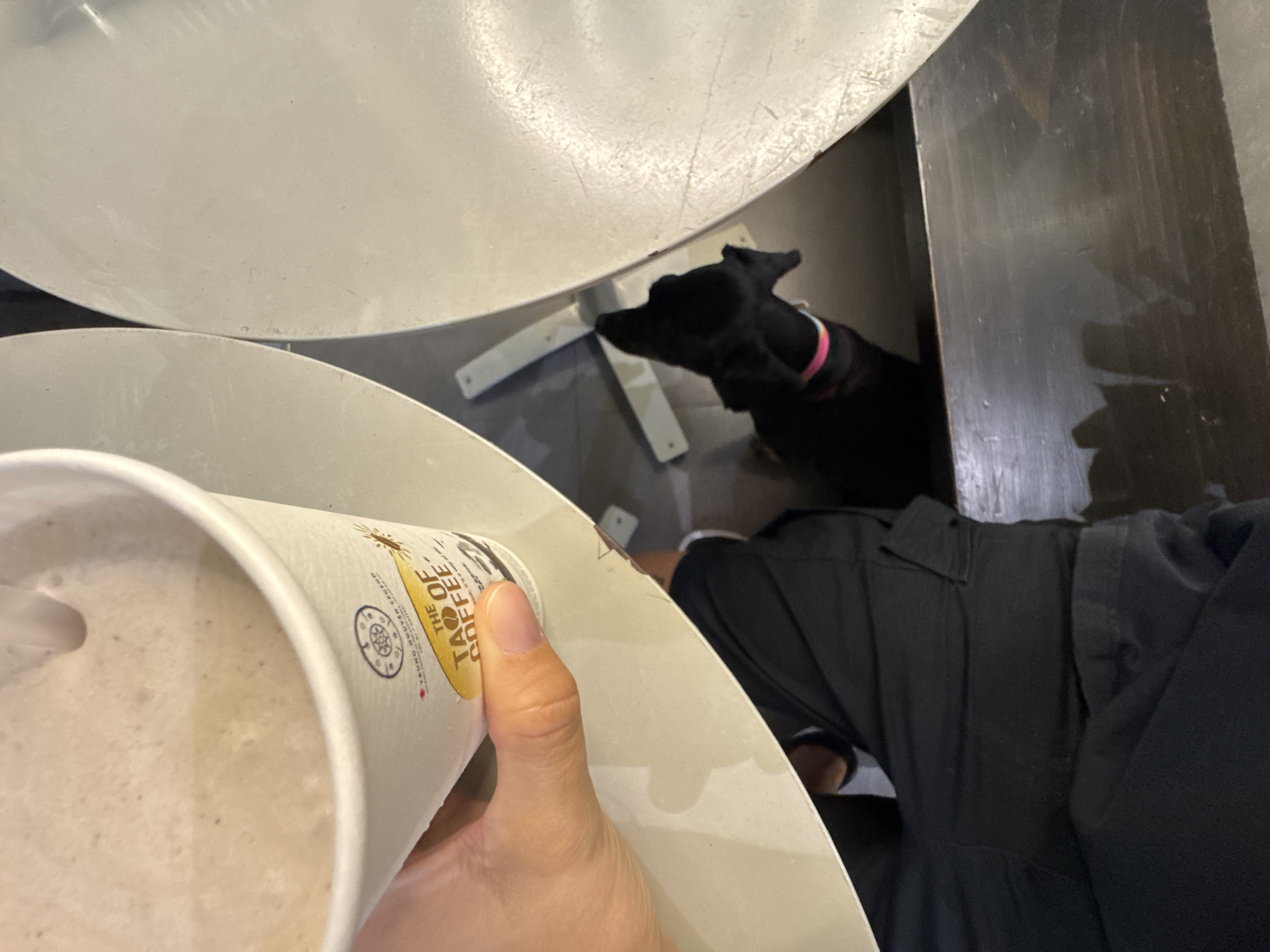A person's hand holds a white cup of coffee with text that reads "THE TAO OF COFFEE" and "YOUNG NGUYEN LEAN" on the label. The cup is positioned in front of a light-colored surface, possibly a table. In the background, a black dog wearing a colorful collar is visible under another similar light-colored surface, appearing to be a table or desk. The environment suggests an indoor setting, possibly a cafe or public space in Nha Trang Ward, Vietnam. The lighting is dim, with the primary light source seeming to come from above.