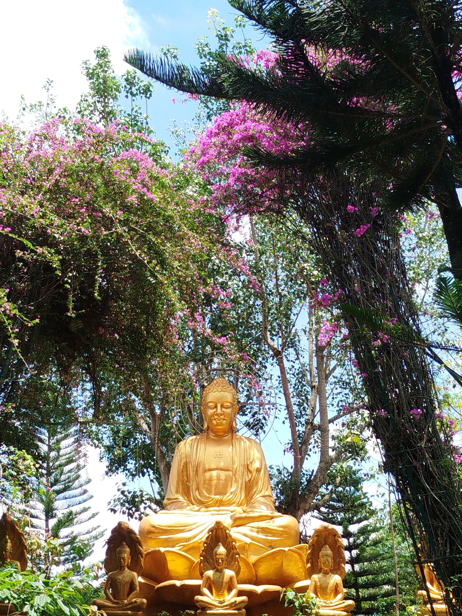 Captured in Nam Ban, Vietnam, the image portrays a golden Buddha statue in a garden setting. The central statue is seated in a lotus position, flanked by smaller, similarly styled statues. Lush vegetation surrounds the statues, including trees with vibrant pink flowers and dark green pine trees. The sky is visible through gaps in the foliage, indicating daylight.