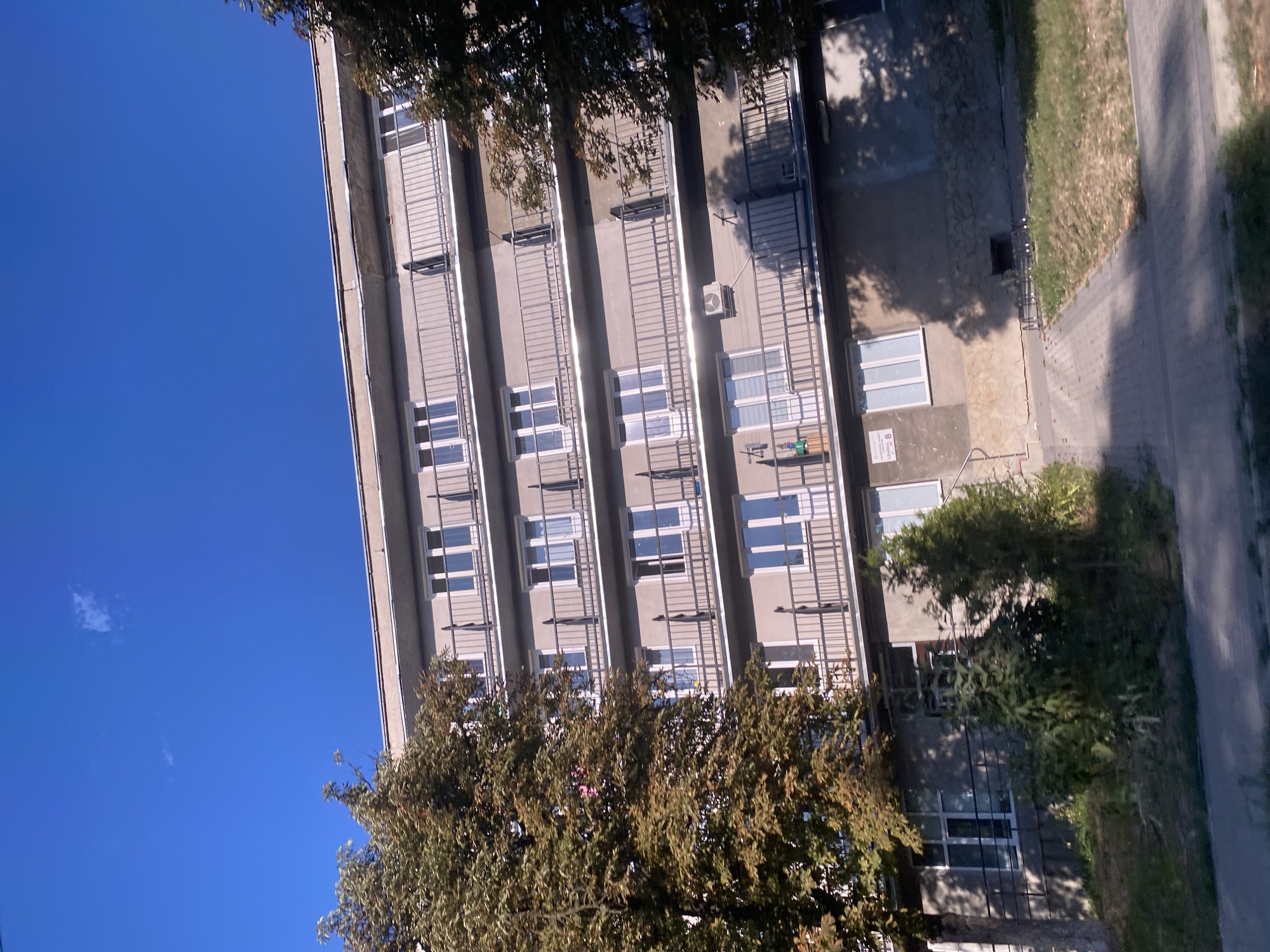 A six-story apartment building with a gray facade and multiple balconies is captured from a low angle against a bright blue sky. The building has numerous windows, many of which are white-framed. Trees with green and brown foliage partially obscure the left side of the building. The ground level features a paved walkway, a grassy area, and some shrubbery. On the ground floor, there is a visible sign with Cyrillic text and the number "8". The scene appears to be in a residential area of Chișinău, Moldova, suggested by the architectural style and the street sign.