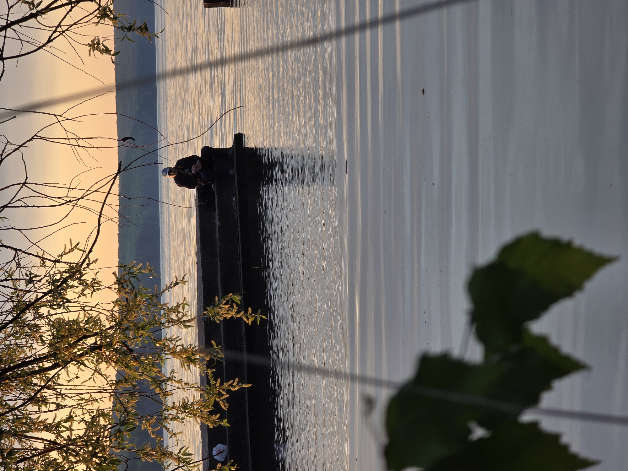 A person sits on steps leading into water at sunset in Chaikovsky, Russia. The horizon is slightly visible in the background. Branches from a tree with leaves extend into the left side of the frame. Leaves obscure part of the right side of the frame.