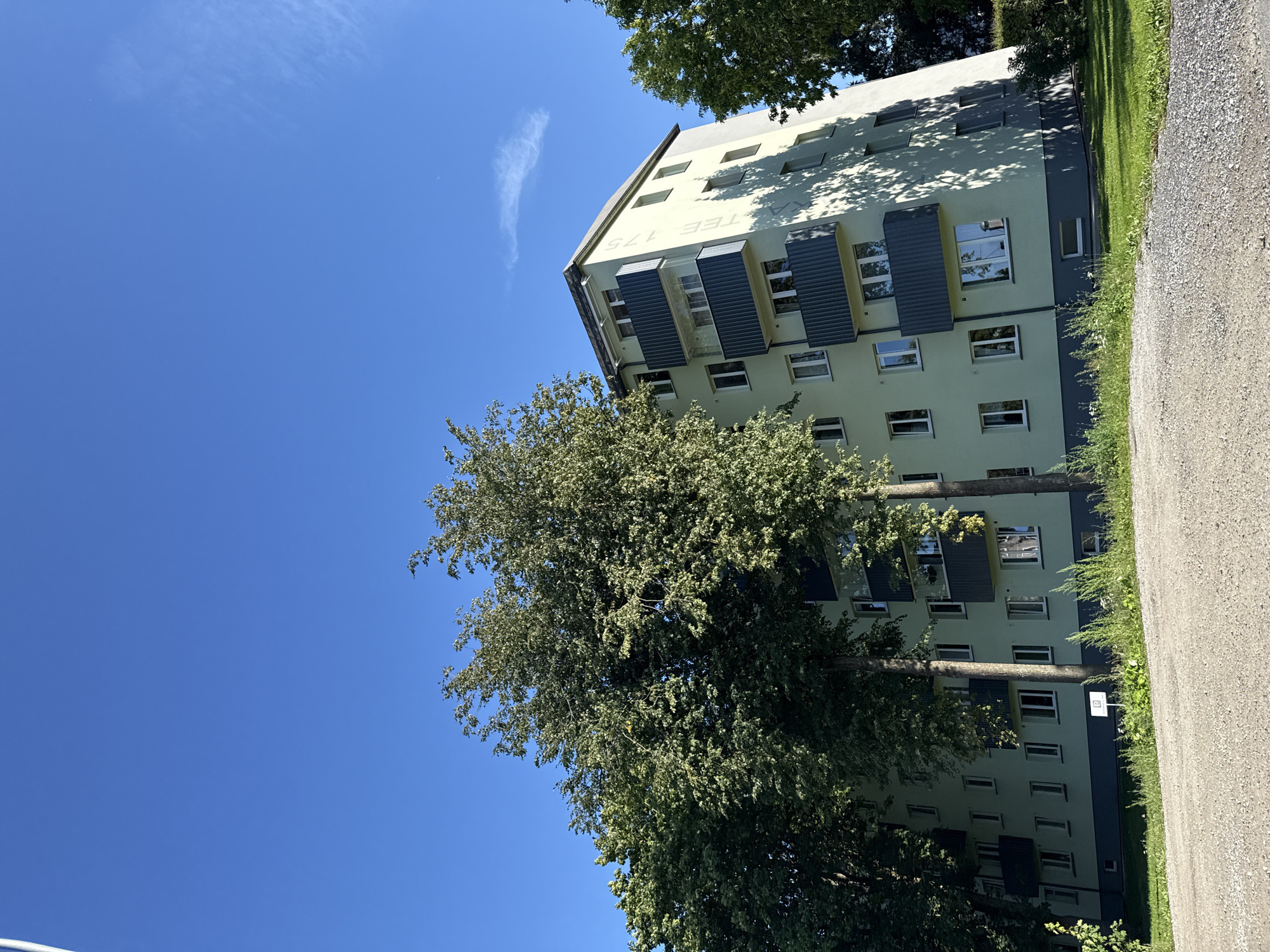 This is an eye-level, medium shot capturing a light green apartment building with dark gray balconies and trim against a clear blue sky. The building appears to be five stories high and is partially obscured by lush green trees on the left and right sides of the frame. The trees' branches and leaves cast shadows on the building's facade. In the foreground, a gravel path leads towards the building, with green grass and scattered weeds on the right. A small white sign with a blue "P" indicating parking is visible near the building's base. The building has a weathered appearance. Text is visible on the side of the building, reading "TEE 175".