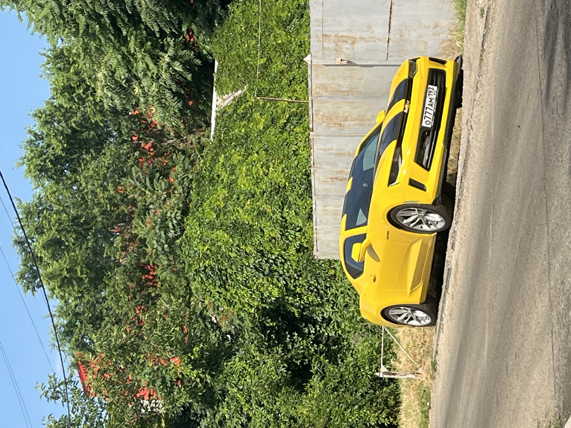 A bright yellow Chevrolet Camaro with black racing stripes is parked on the side of a paved road, angled slightly downhill. The car is the central focus, positioned in front of a weathered, light-colored metal fence. Behind the fence, dense green foliage and trees dominate the background, with some hints of red berries or flowers visible within the greenery. A red-tiled roof of a building is peeking through the trees on the left side of the image. The sky above is clear and blue. A license plate on the car reads "0777AM 193". The scene appears to be in a residential or semi-rural area.