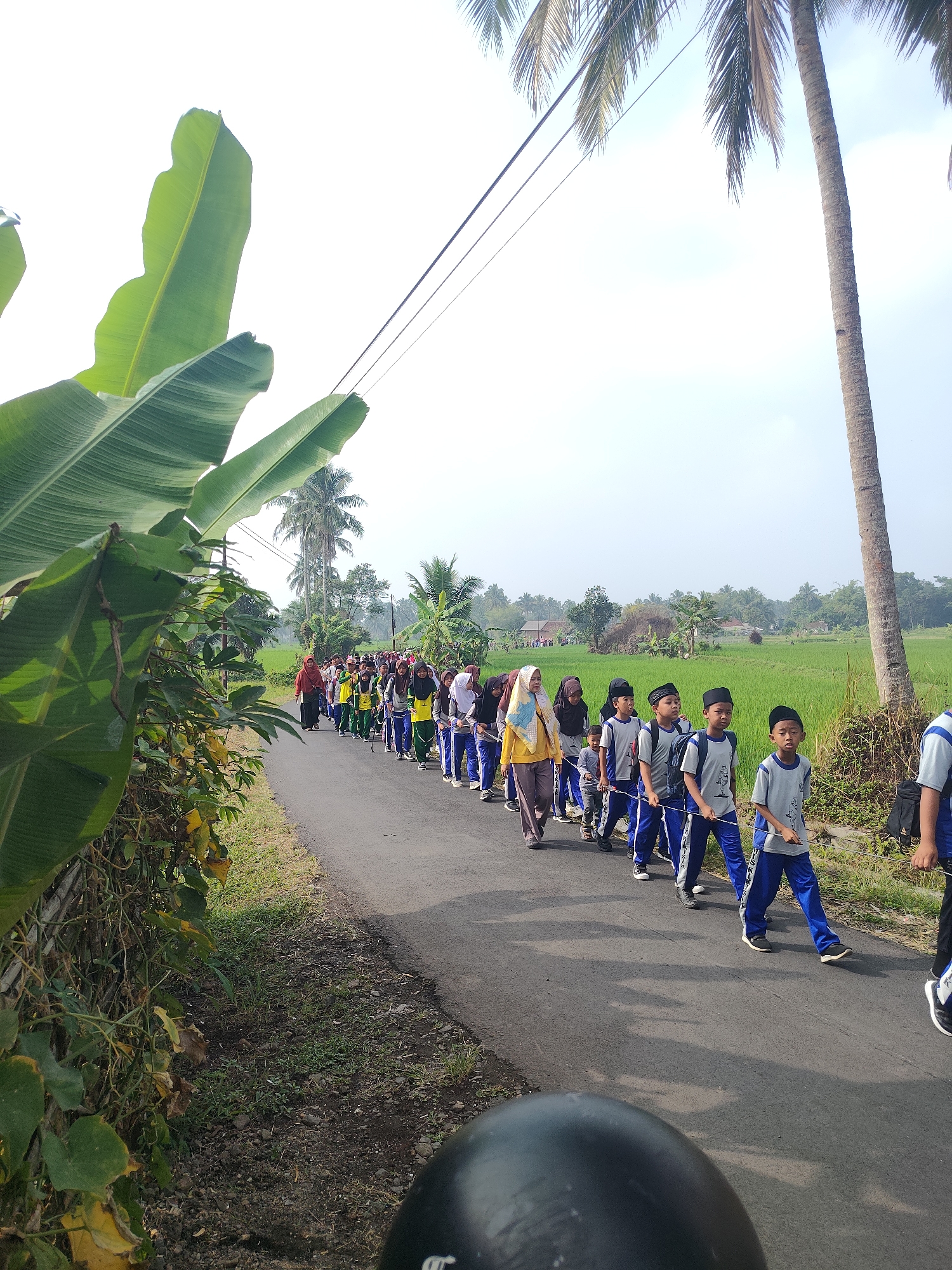 In Sukaratu, Indonesia, a group of students in uniform are walking in a single file line down a paved road. The students, some wearing hijabs, are dressed in blue pants and grey shirts with a dark emblem on them. They are carrying backpacks and are holding onto ropes or strings that connect them. The group appears to be walking through a rural or semi-rural area, with lush green rice fields visible on the right side of the road and palm trees and banana plants on the left. The sky is bright and overcast, suggesting it is daytime. The image is captured from a low angle, likely from the perspective of someone on a motorcycle, as the front of a black helmet is visible in the bottom foreground.