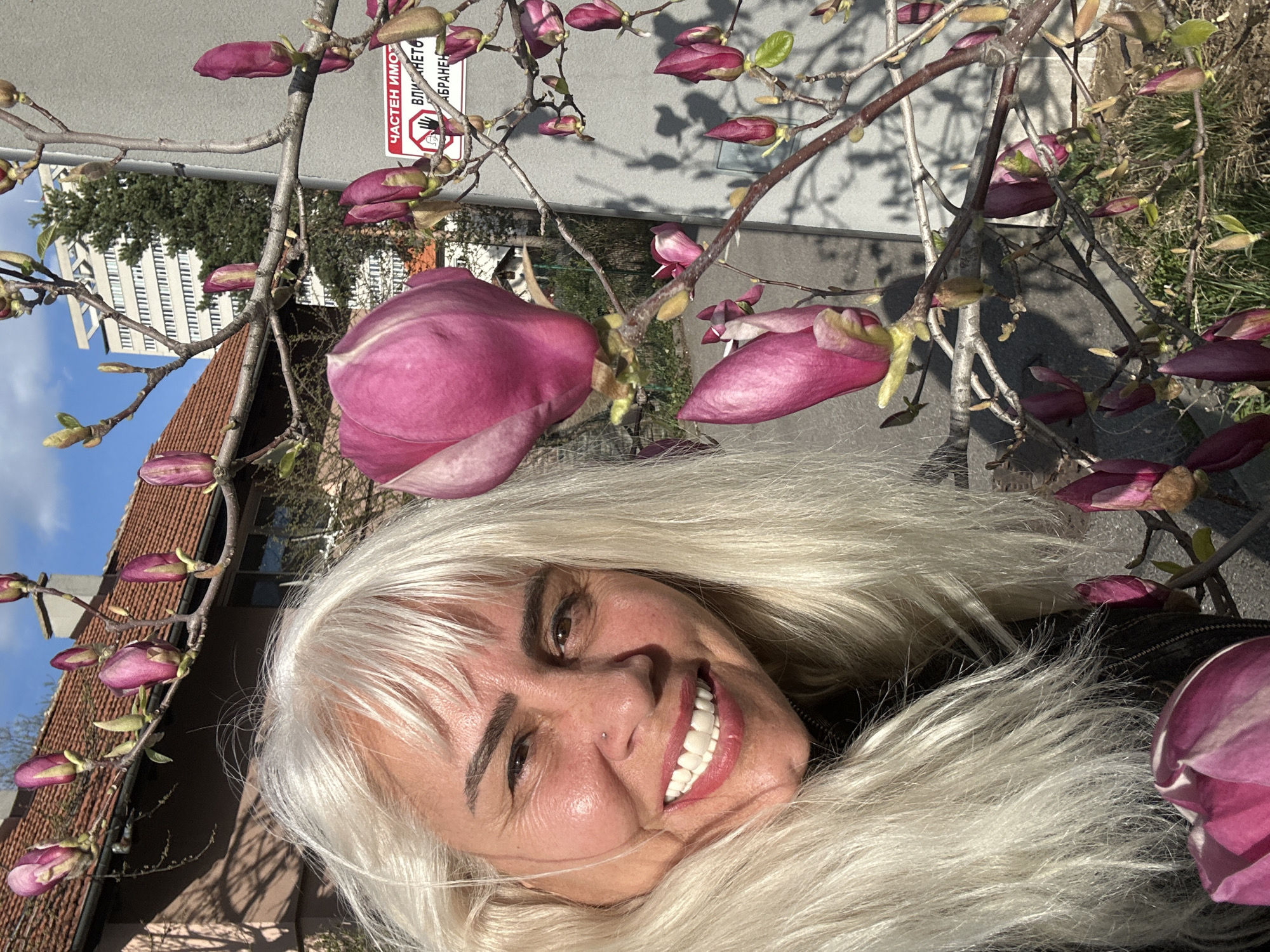 A medium close-up, slightly angled photo captures a woman with fair skin and platinum blonde hair, posing in front of a magnolia tree in full bloom. The woman's face is the focal point, and she is smiling with her teeth showing. She has a nose piercing and well-defined eyebrows. The magnolia tree frames the scene around her, with vibrant pink blossoms and buds creating a natural border. In the background, there is a building with a roof made of clay tiles, partially obscured by tree branches and a sign with the words "ЧАСТЕН ИМОТ. ВЛИЯНИЕТО Е." and a symbol of a hand with crossed fingers. Further in the background, a modern building with multiple stories and windows is visible against a blue sky. The setting appears to be outdoors, likely in a residential area of Sofia, Bulgaria, based on the architecture and signage.