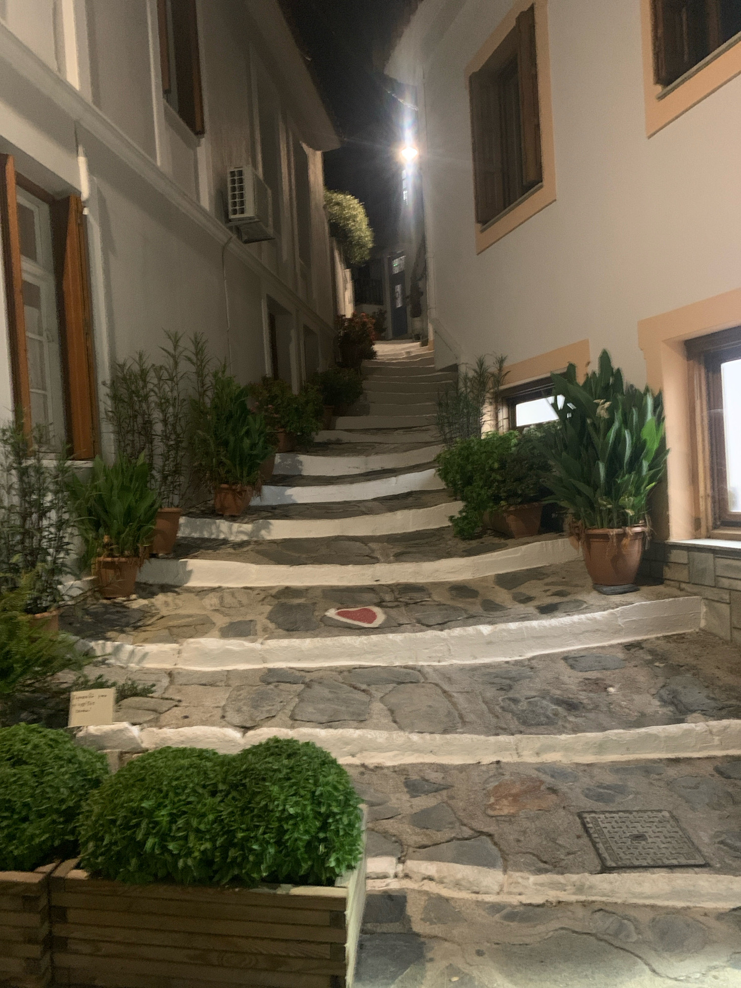 This image depicts a charming, narrow stone staircase lined with potted plants, ascending between whitewashed buildings in the town of Skopelos, Greece. The scene appears to be illuminated by artificial light, suggesting it is nighttime or early evening. The stone steps are uneven and interspersed with white painted risers and borders. Several potted plants of varying sizes and species are strategically placed along the sides of the stairs, some with lush green foliage and others with more slender, reed-like leaves. One of the steps features a small, red heart-shaped decal. The architecture of the buildings flanking the staircase suggests a traditional Mediterranean style, with wooden window frames and white plaster walls. In the foreground, two large planters contain dense, bushy green plants. Further up the stairs, a streetlamp is visible, casting a warm glow. The overall impression is one of a quaint and well-maintained public space, typical of the picturesque alleyways found in Greek island towns.