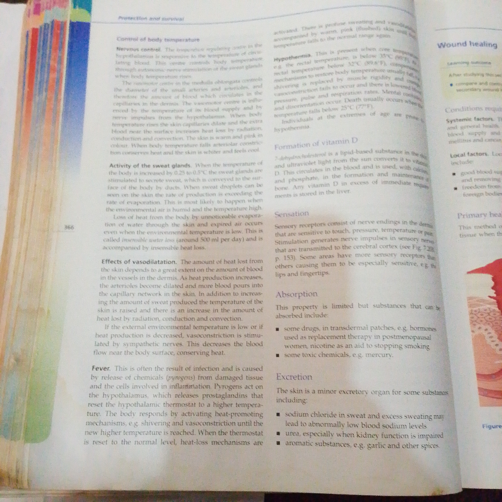 The image provided is a photograph of an open textbook page, displaying text and illustrations related to human physiology, specifically focusing on thermoregulation and skin functions. The page is divided into sections with headings such as "Control of body temperature," "Activity of the sweat glands," "Effects of vasodilation," "Fever," "Formation of vitamin D," "Sensation," and "Absorption," as well as "Excretion" and "Wound healing."
There are no people, subjects, objects, actions, interactions, or environmental elements depicted that are related to the city of Jalingo, Nigeria, or any specific geographical location. The image is solely of the textbook content.