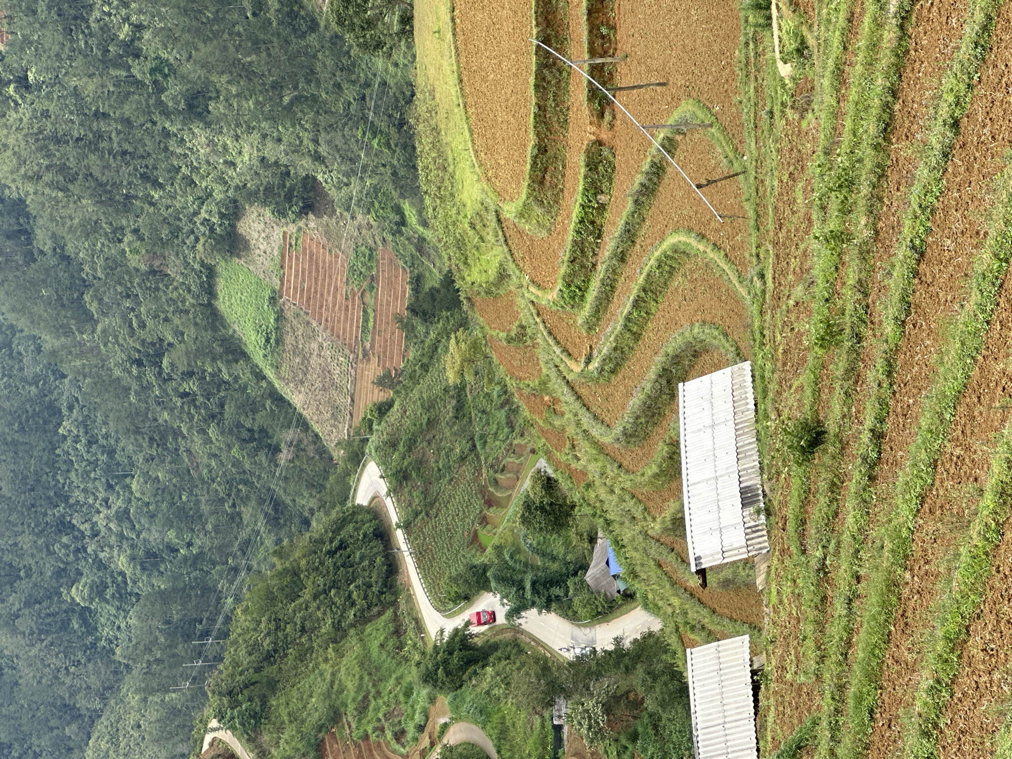 A high-angle forensic view captures a verdant, terraced agricultural landscape in Dế Xu Phình, Vietnam, under diffused daylight. Steep hillsides densely covered in dark green forest dominate the upper background. A paved, winding two-lane road, featuring a white center line, traverses the midground valley from the lower center, curving sharply left and then right towards the upper left. A red box truck is observed driving uphill on this road, followed by a smaller two-wheeled vehicle (likely a motorcycle or scooter). Utility poles and power lines parallel the road on the left hillside. Below the road on the left, a small structure with a blue roof is partially visible amidst green foliage.
The midground and foreground are characterized by extensive terraced fields. These terraces display a mix of freshly tilled reddish-brown soil and areas with nascent green vegetation or established green retaining banks, forming distinct curved and linear patterns across the hillsides. In the mid-right, a long, slender pole, possibly bamboo, is propped diagonally across one terraced section, supported by shorter vertical posts. In the immediate foreground, two structures with light grey corrugated metal roofs are prominently situated on a lower terrace, angled towards the viewer, appearing to be simple shelters or storage sheds. Rows of young green plants are visible in the tilled earth of the foreground terraces. No specific individuals are clearly discernible.