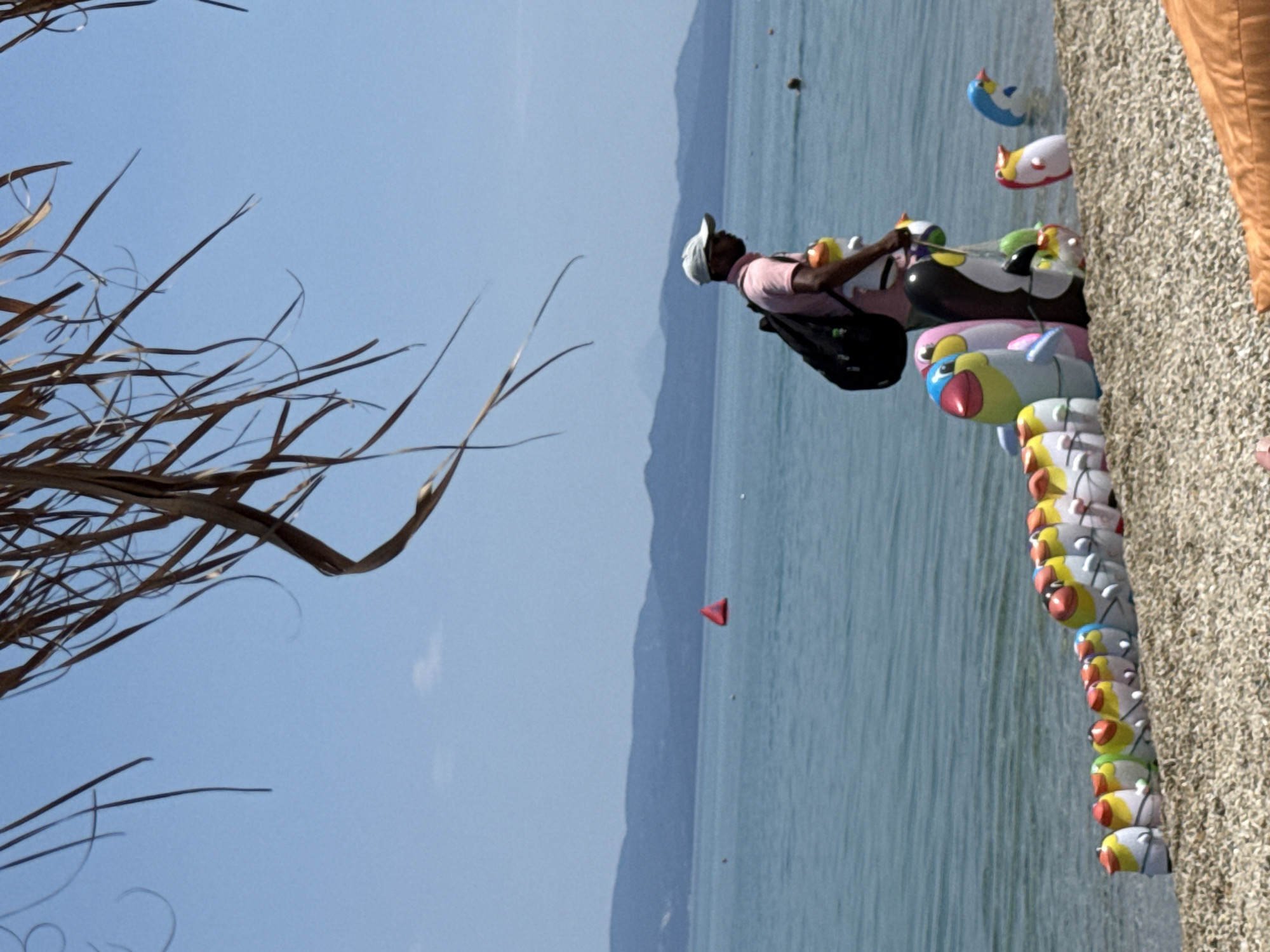 A man stands on a pebble beach in Pallini Municipal Unit, Greece, holding a string of inflatable penguin toys. The man, wearing a pink shirt and a white cap, carries a black backpack. The inflatable toys, in various colors and sizes, are lined up on the beach and floating in the calm, blue sea. In the background, mountains form a distant horizon, and the sky is clear blue with a few wispy clouds. Palm fronds hang from the top of the frame, creating a natural canopy. The scene appears to be a vendor selling beach toys on a sunny day.