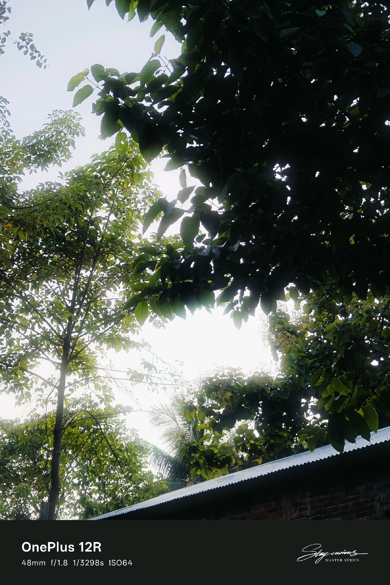 The image captures a view looking upwards through dense foliage of trees, with sunlight filtering through the leaves. A portion of a corrugated tin roof and a brick wall is visible at the bottom of the frame, suggesting a residential or outbuilding structure. The text overlay indicates that the photograph was taken with a OnePlus 12R, featuring a 48mm focal length, f/1.8 aperture, a shutter speed of 1/3298s, and an ISO of 64. A stylized signature and "MASTER SERIES" are present in the lower right corner. No people or specific landmarks indicating the city of Pipulbari Pt.IV, India, are discernible in the image itself.