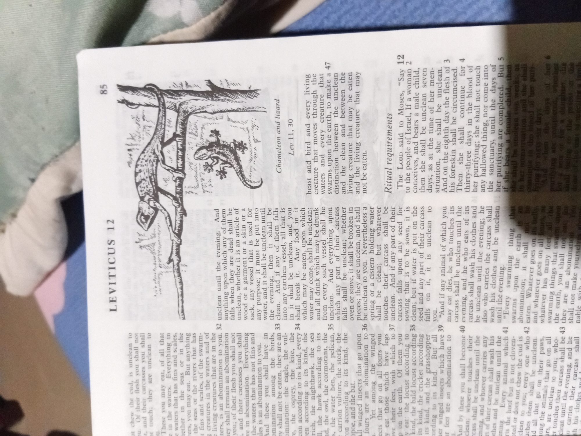The image displays a page from a book, likely a Bible, open to a passage in Leviticus. The text is in English and features a black and white illustration of a chameleon and a lizard on a branch. The page number "85" is visible at the top right. The book appears to be resting on a textured surface, possibly fabric. There is no visible indication of the city of Nkpor, Nigeria, in the image.