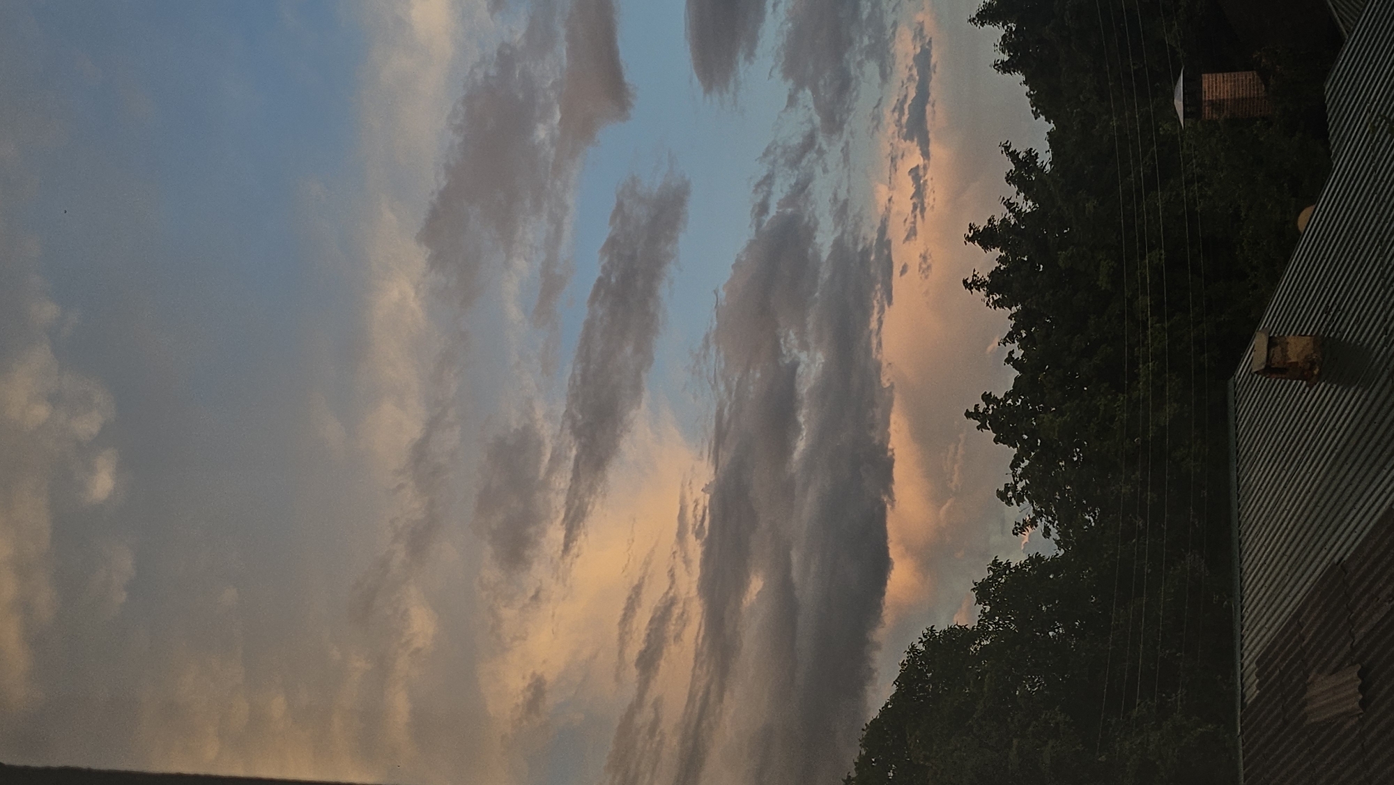 This is a vertical, eye-level, full shot of a twilight sky over rooftops and trees in an urban setting. The sky is a gradient of soft blues and pinks, filled with scattered, fluffy clouds tinged with orange and gray. A dark silhouette of dense trees stretches across the middle ground, their branches forming an uneven line against the sky. In the foreground, two corrugated metal rooftops are visible, with a small brick chimney rising from the one on the right. Power lines are strung between unseen poles, crossing the lower portion of the frame. The image appears to be taken from a window or balcony.