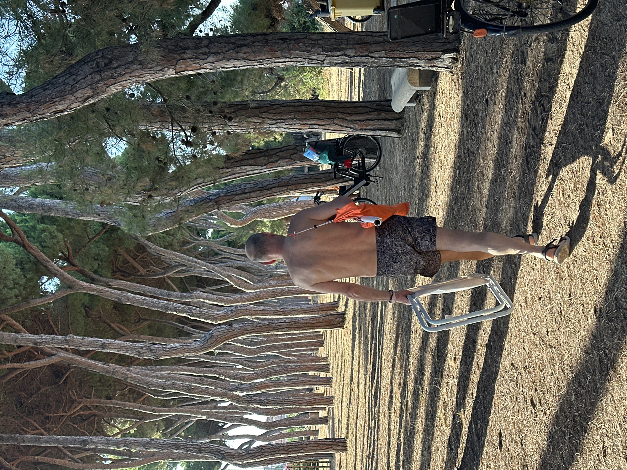 A person, with their back to the camera, is standing in a sun-dappled outdoor area, possibly a park or campsite, with tall trees lining the scene. The person is wearing patterned shorts and is shirtless, with their arms extended. They are holding a light-colored, foldable frame in their right hand. In the background, a bicycle with a yellow basket and a black bag on the rear rack is visible, along with a portion of a larger object that might be a camper or an outdoor structure. The ground is covered with dry grass and is characterized by long, strong shadows cast by the trees, suggesting it is late afternoon. The overall impression is one of a relaxed, possibly recreational, setting, with the natural environment playing a significant role. The scene appears to be set in Pineto, Italy, a location known for its pine forests and coastal areas. There is no visible text in the image.