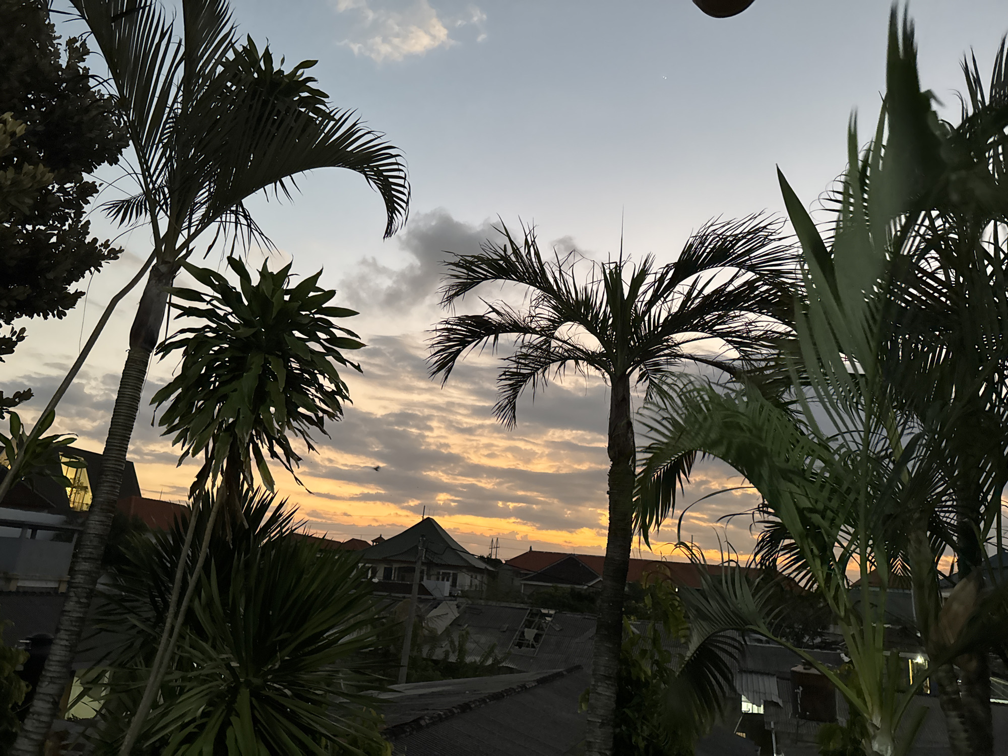 This photograph captures a sunset scene over a residential area in Denpasar, Indonesia. The sky is filled with dramatic clouds illuminated by the warm hues of the setting sun, ranging from soft oranges to yellows, set against a pale blue gradient. Silhouetted against this vibrant sky are several palm trees with their fronds extending outwards. In the middle ground, the rooftops of houses are visible, some with traditional Indonesian architectural elements like pointed roofs. The houses appear to be built close together, characteristic of urban residential areas. The overall impression is one of a tropical evening, with the natural beauty of the sunset contrasting with the man-made structures of the city. There are no people or specific actions depicted in the scene.