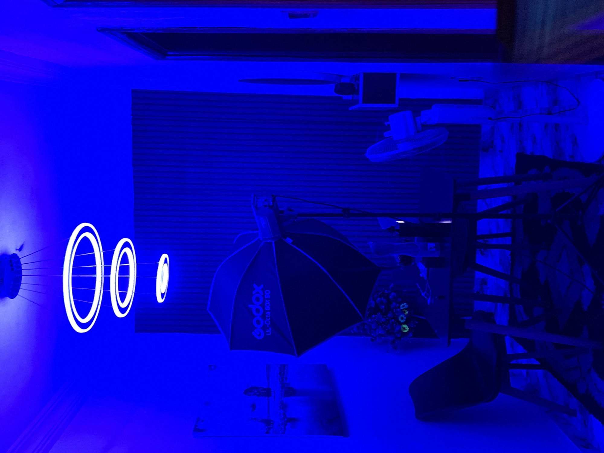 The scene is a room illuminated with a strong blue light. On the left wall are three circular LED lights, one larger than the others, arranged in a horizontal line. A Godox UL-Octa Box 90 softbox stands in the middle of the room on a table, next to a bouquet of flowers and a picture frame on a table. A chair is visible on the right. A ceiling fan is also present. I am unable to verify if the location is in Ikorodu, Nigeria.