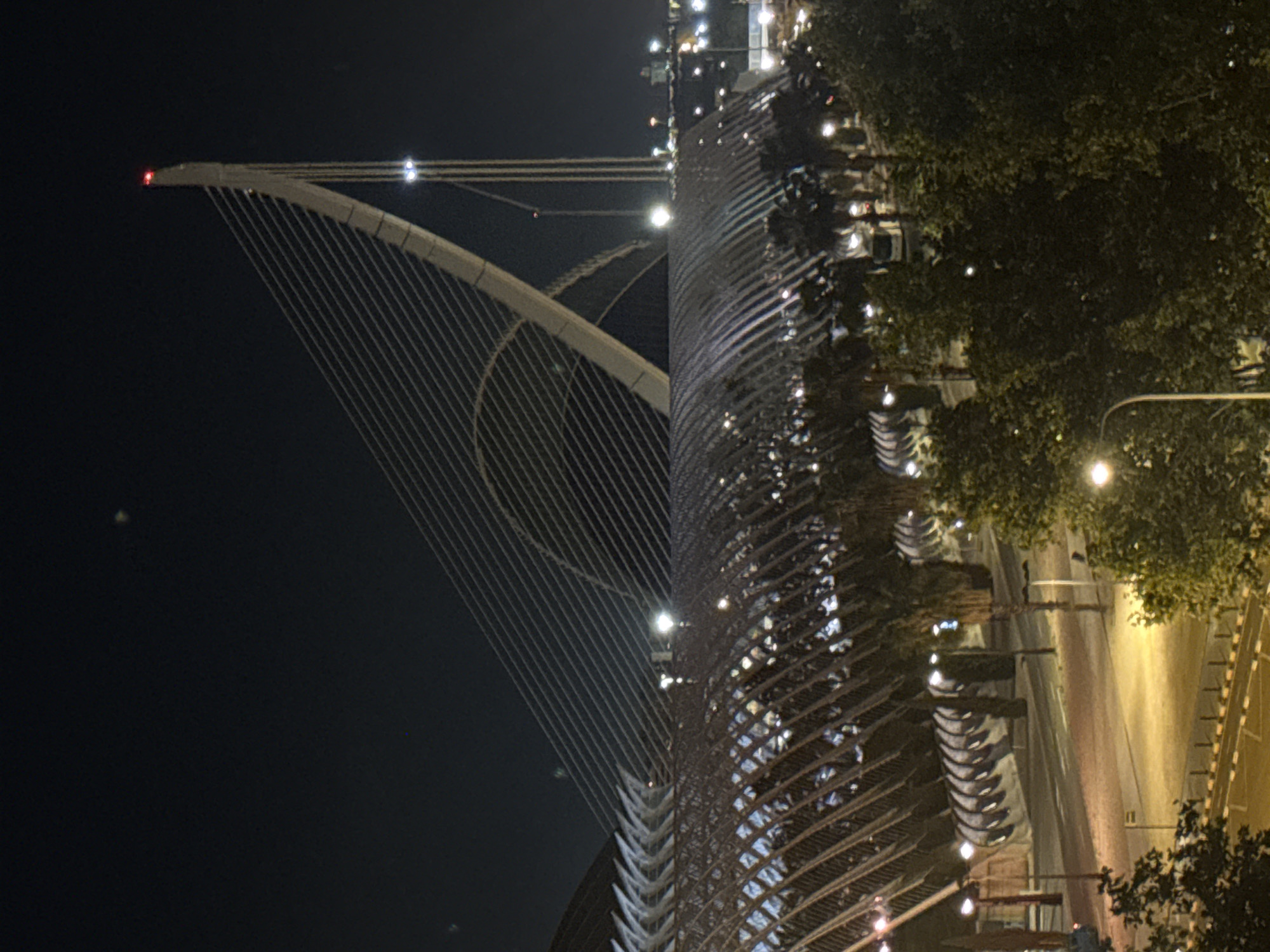 The image shows the Assut de l'Or Bridge in Valencia, Spain, at night. The bridge's signature curved pylon, illuminated by lights, arches into the dark sky. Thin cables extend from the pylon to the bridge deck, creating a fan-like pattern. To the right of the bridge, there is a road with streetlights and trees along the side. The scene appears to be quiet, with no visible people or cars on the road.