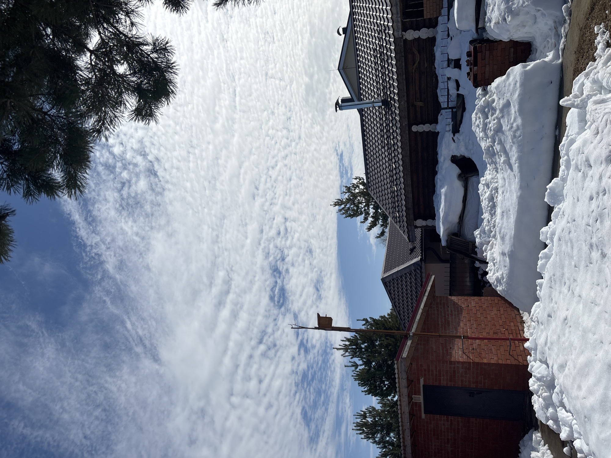 The image displays an outdoor winter or early spring scene in Русский Вожой, Russia, under a blue sky partially covered by scattered altocumulus clouds. A dark green pine branch extends into the upper right portion of the frame.
In the foreground and midground, snow covers the ground, accumulating in drifts around structures. To the left, a single-story red brick outbuilding features a dark metal door and a corrugated metal roof with red fascia. A red-painted metal pipe or conduit is affixed vertically to the left side of this building. Adjacent to the outbuilding, a wooden birdhouse is mounted on a tall, slender pole with small branch remnants.
Behind the outbuilding and birdhouse, a substantial wooden house, possibly constructed from logs, occupies the center-right. It has a dark brown tiled roof with a prominent cylindrical metal chimney stack positioned on the roofline. Below the roof, white decorative log ends or pillars are visible along the facade. To the right of this main house, another structure or section of a building is visible, also featuring a dark tiled roof and a smaller black chimney or vent. Evergreen trees, specifically pines, are discernible in the background, appearing behind the structures. No human or animal figures are present, and no actions are depicted.