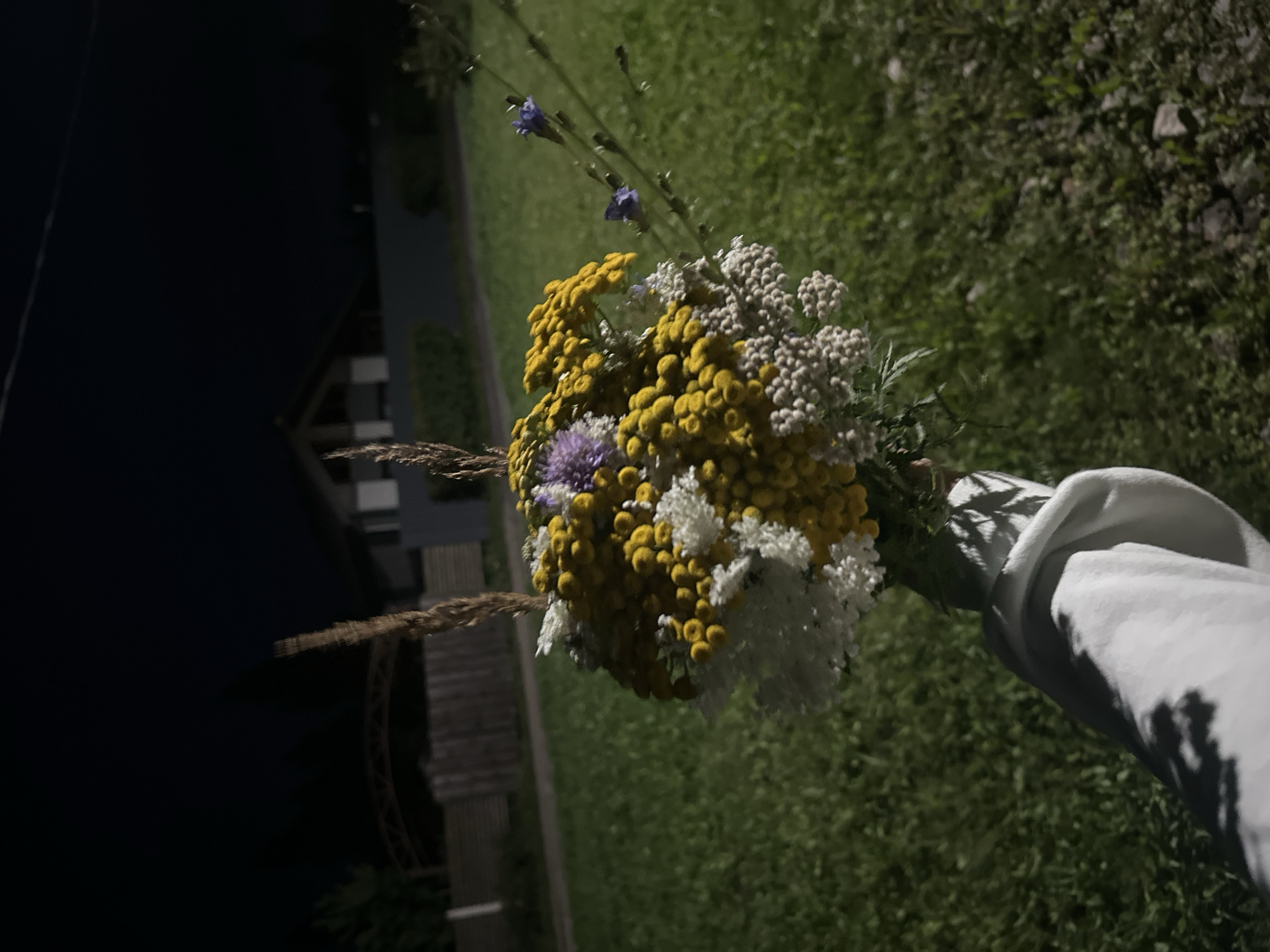 A hand, wearing a white hoodie, holds a bouquet of wildflowers against a blurred background of a grassy field, a wooden fence, and a building at dusk in Kutukovo, Russia. The bouquet consists of yellow, white, and purple flowers, along with dried grass stalks. The lighting suggests it is nighttime, possibly illuminated by artificial light, casting shadows on the hand and the grass.