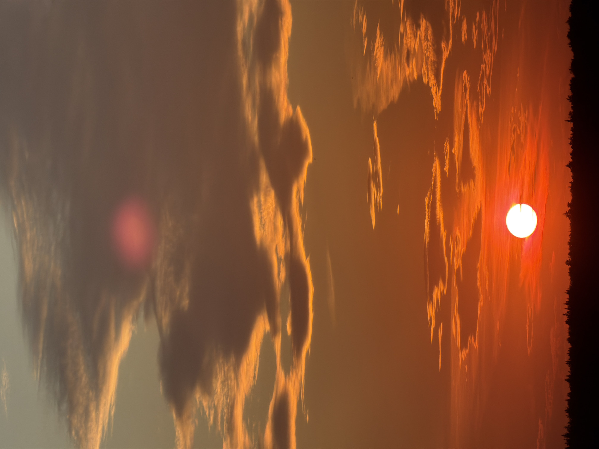 The image depicts a vibrant sunset over a silhouetted forest line. The sky is filled with dramatic clouds, ranging in color from deep orange and red near the horizon to lighter oranges and grays higher up. The sun, a bright white orb, is positioned just above the forest, casting a warm glow across the scene. There are faint hints of lens flare in the upper portion of the image, appearing as soft pink or red circles. The foreground consists of a dark, dense silhouette of trees and vegetation. The overall impression is one of natural beauty and tranquility.