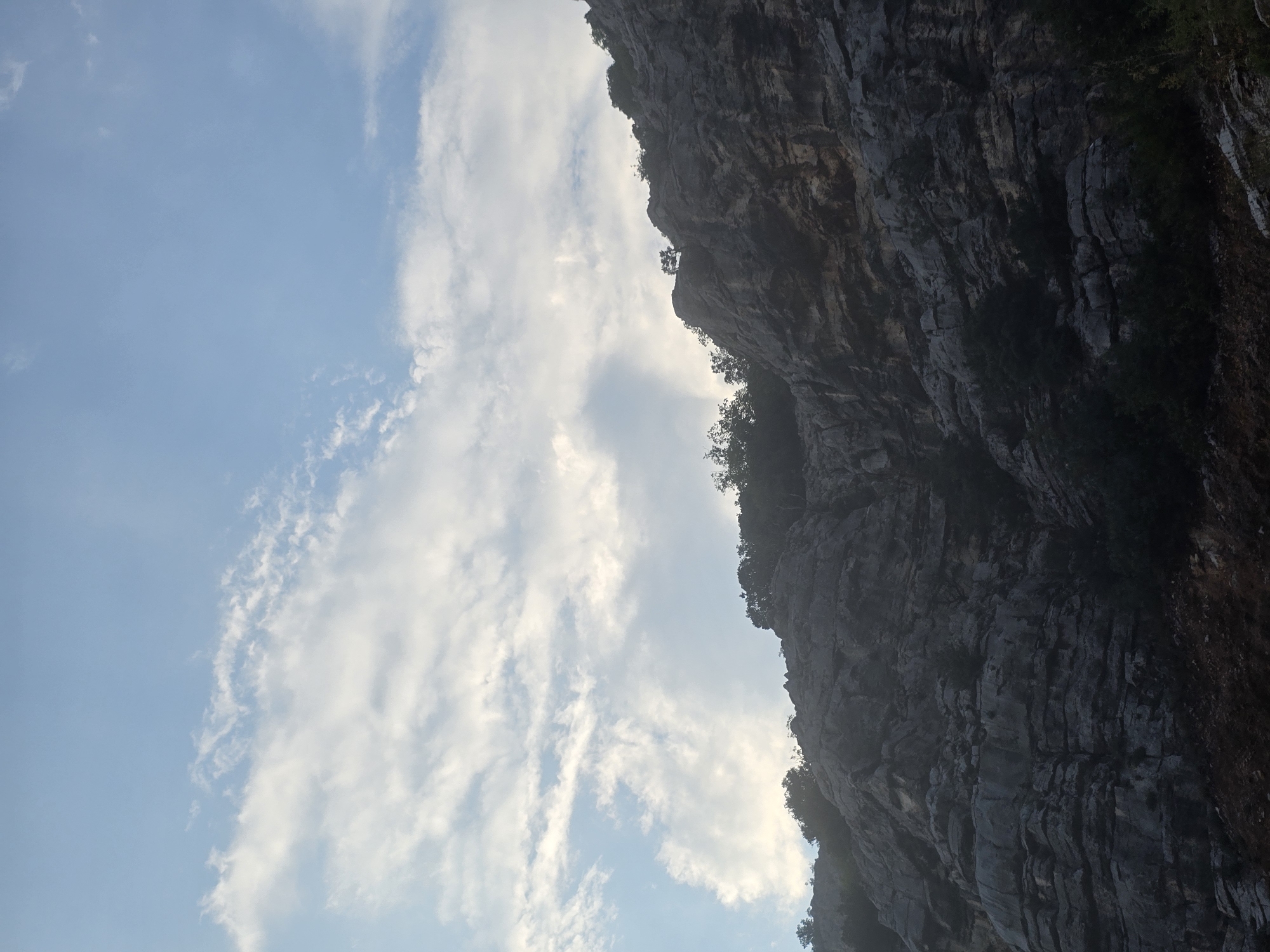 The image depicts a rocky cliff face in Podgorica, Montenegro. The cliff is steep and layered, with visible strata of rock. Sparse vegetation, consisting of dark green trees and shrubs, is growing on ledges and along the top of the cliff. The sky above is blue with scattered white clouds. The lighting suggests it may be daytime, possibly late afternoon or early morning due to the muted tones. The scene is devoid of any human presence or activity. The environment appears natural and undeveloped.