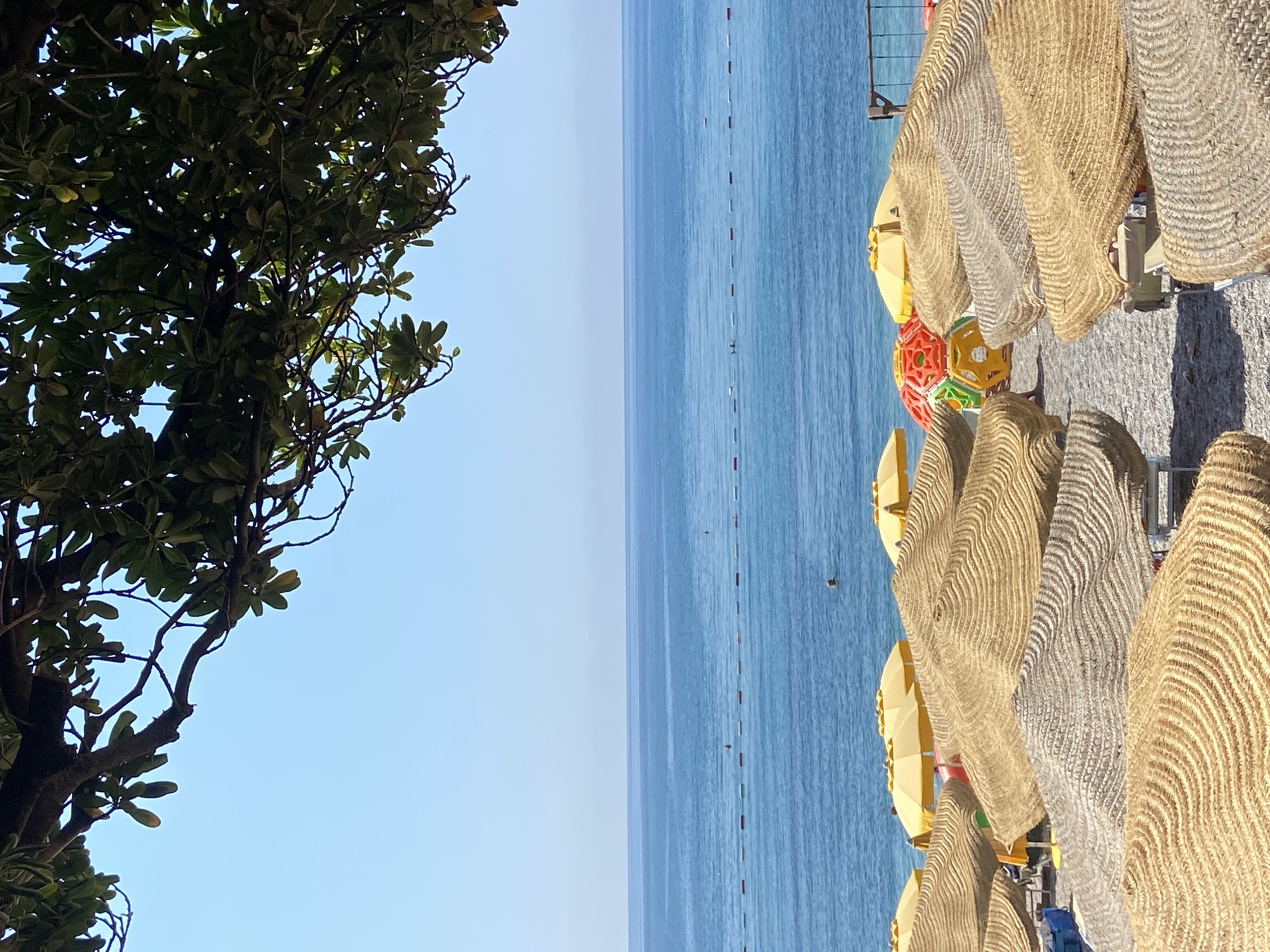 A sun-drenched beach scene in Prijevor, Montenegro, is depicted, with the foreground dominated by a collection of woven straw beach umbrellas. These umbrellas, arranged in rows, create a textured, layered effect, their natural fibers a contrast to the vibrant yellow umbrellas visible further back. Beyond the umbrellas, a calm, blue sea stretches to the horizon under a clear, pale blue sky. A subtle line of buoys marks a boundary in the water, and a few distant figures can be seen swimming or wading. The scene is framed at the top by the dark green foliage and branches of a tree, casting a partial shadow and adding a natural element to the composition. The beach itself appears to be covered in small, grey pebbles.