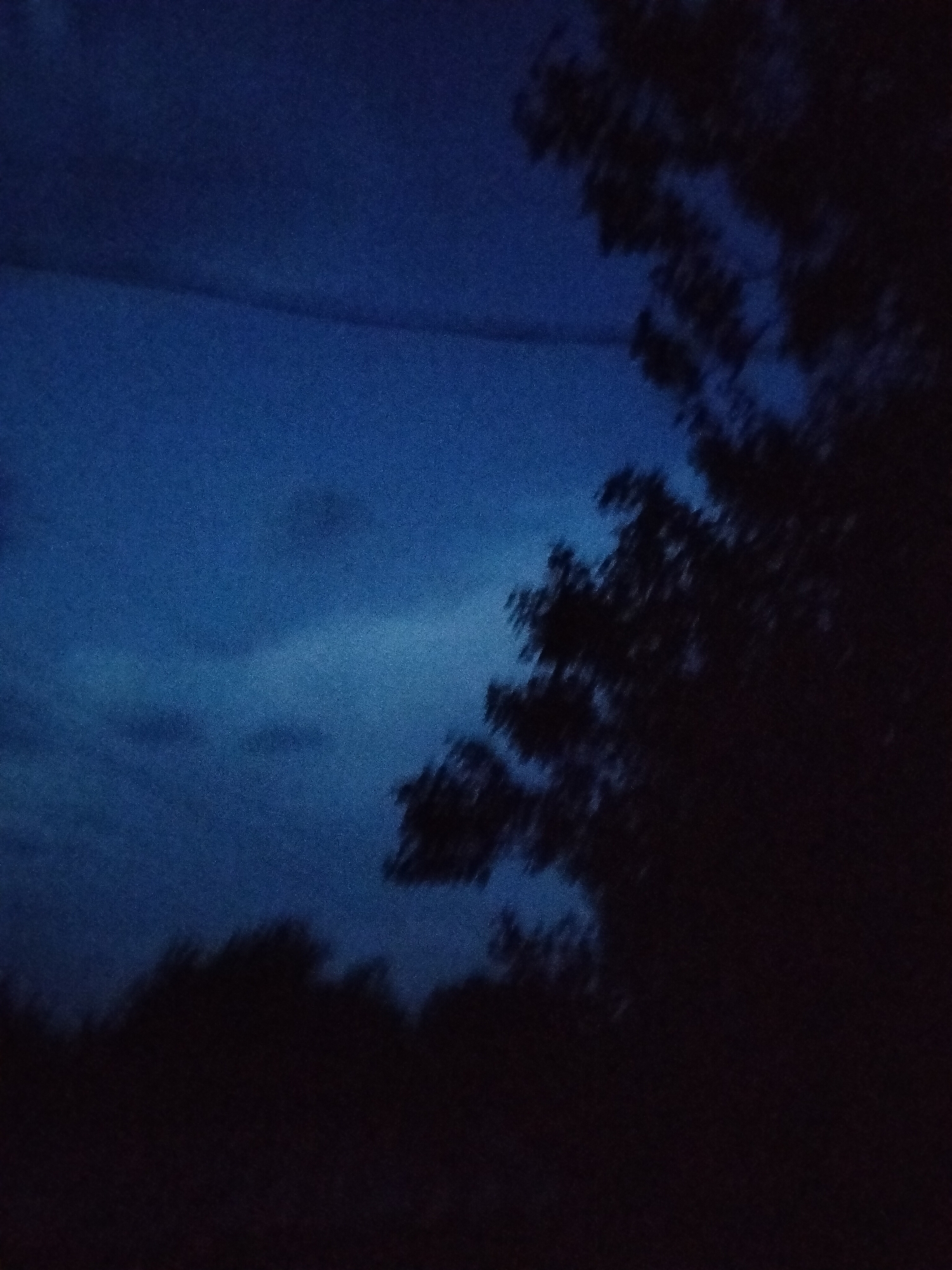 A dark, atmospheric image captures the sky at dusk or night, with deep blues and faint cloud formations. Silhouetted against the sky are the dark forms of trees, with branches and foliage creating an abstract pattern. The overall impression is one of twilight or nighttime in a natural or semi-natural setting within the city of Ustyvytsia, Ukraine, characterized by a lack of direct light and a focus on shapes and shadows.