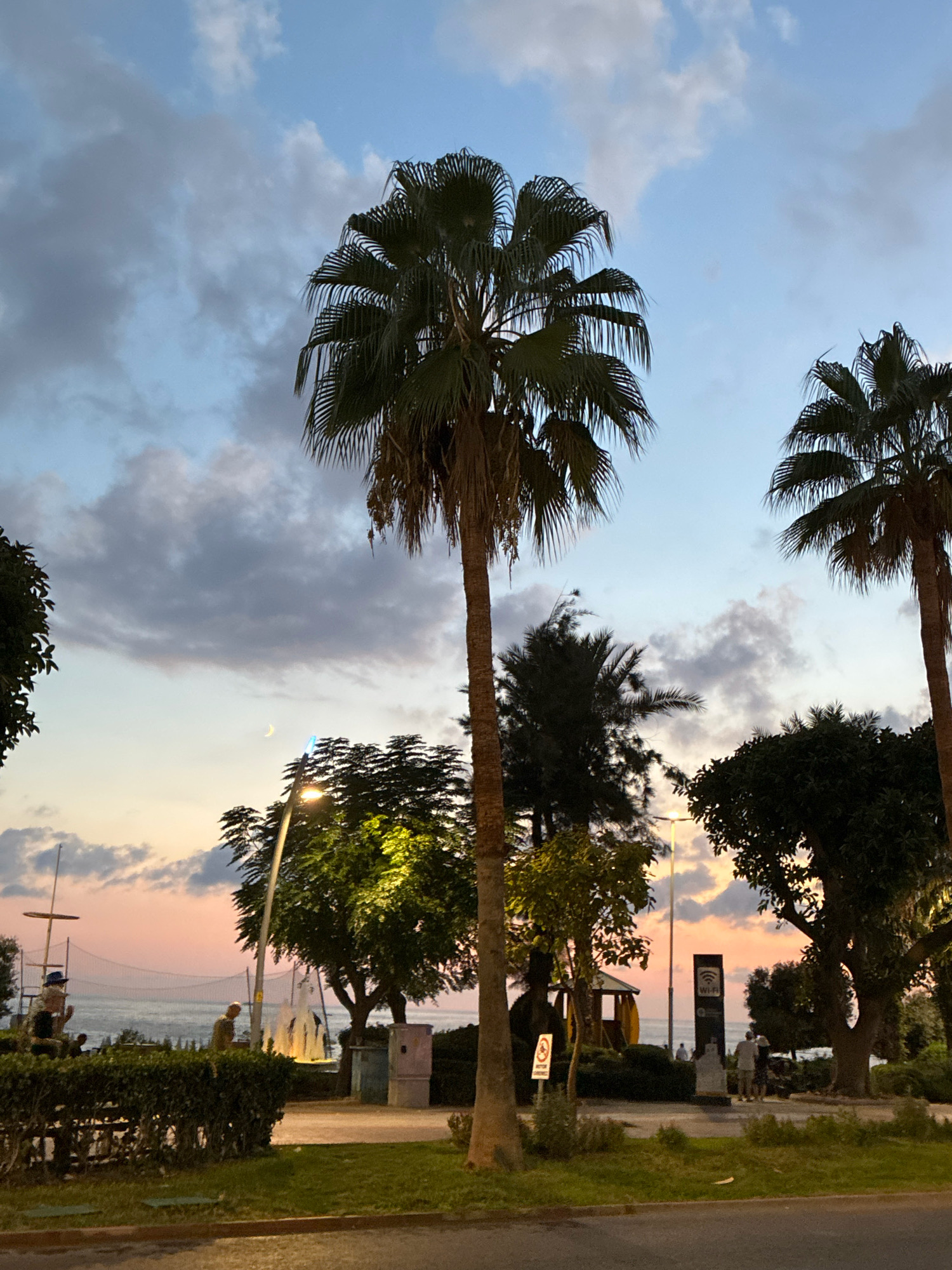 In Alanya, Turkey, a serene evening scene unfolds with dramatic skies and coastal elements. Palm trees, their fronds silhouetted against a dusk sky painted with hues of pink, orange, and grey, dominate the foreground and midground. The sky is partly cloudy, with some clouds appearing dark and heavy, while others are tinged with the warm glow of sunset. A sliver of a crescent moon is visible high in the sky.
In the midground, lush green trees are illuminated by warm-toned streetlights. A single, tall lamppost with a bright light stands out. Further back, the sea is visible, with a hint of a bridge in the distance. A small structure resembling a covered gazebo is situated near the shoreline.
On the left, there is a playground-like structure with a mast and netting. Several figures are present, one seemingly standing on a platform, another in silhouette. Closer to the foreground, several people are walking near a Wi-Fi signpost. The ground is paved in some areas and grassy in others, with manicured bushes lining the walkways. The overall atmosphere suggests a public park or promenade area by the sea, popular in the late afternoon or early evening.
