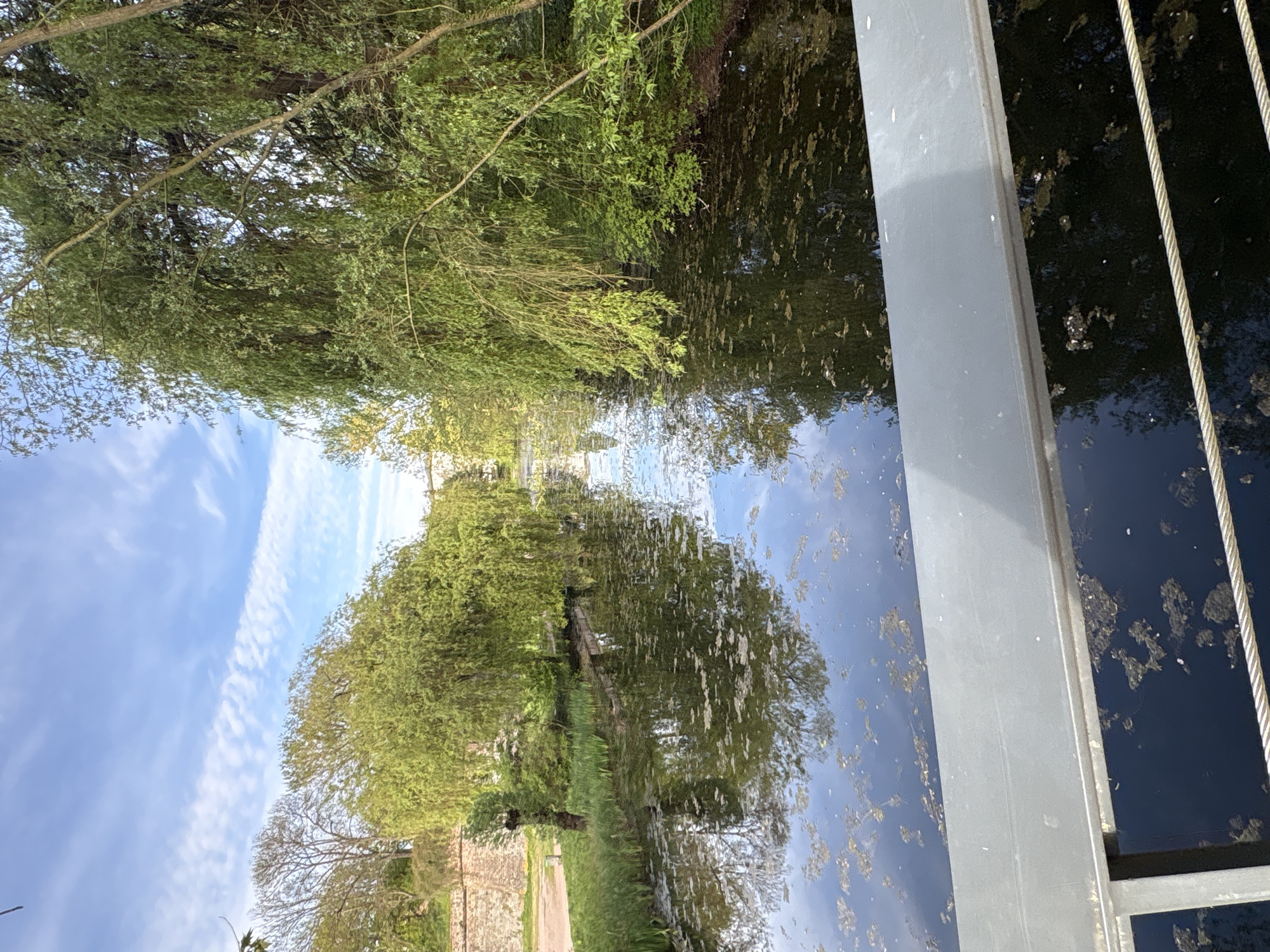 The image displays a tranquil outdoor scene, likely a canal or river in Strasbourg, France, captured on a clear day. The primary subjects include a body of water, lush green trees, a bright blue sky with distinctive cloud formations, and a man-made structure, possibly a bridge railing or dock.
The water, appearing dark blue to black in places, occupies a significant portion of the scene. Its surface reflects the sky and surrounding trees, though it is slightly agitated, causing ripples and distorted reflections. Numerous patches of floating debris, possibly pollen or small leaves, are visible on the water's surface.
Along the far bank of the water, a variety of trees with vibrant green foliage are present, suggesting late spring or summer. Some trees feature long, drooping branches, resembling weeping willows. One tree has bare branches, contrasting with the verdant canopy of others. Beyond the trees, a stone wall or part of a building facade is partially visible.
The sky, visible above the trees and in reflection, is a bright, clear blue, adorned with wispy white clouds. A prominent, long, linear cloud formation stretches across the sky, adding a striking detail.
On the right side of the image, a robust grey metal beam, likely part of a bridge or waterfront structure, runs vertically. Parallel to it, several thin, braided metal cables are visible, suggesting a protective railing or structural support.
The overall impression is one of peaceful natural beauty complemented by subtle human infrastructure. There are no visible people, animals, or discernible text. The bright illumination indicates it is daytime, likely morning or afternoon, under fair weather conditions.