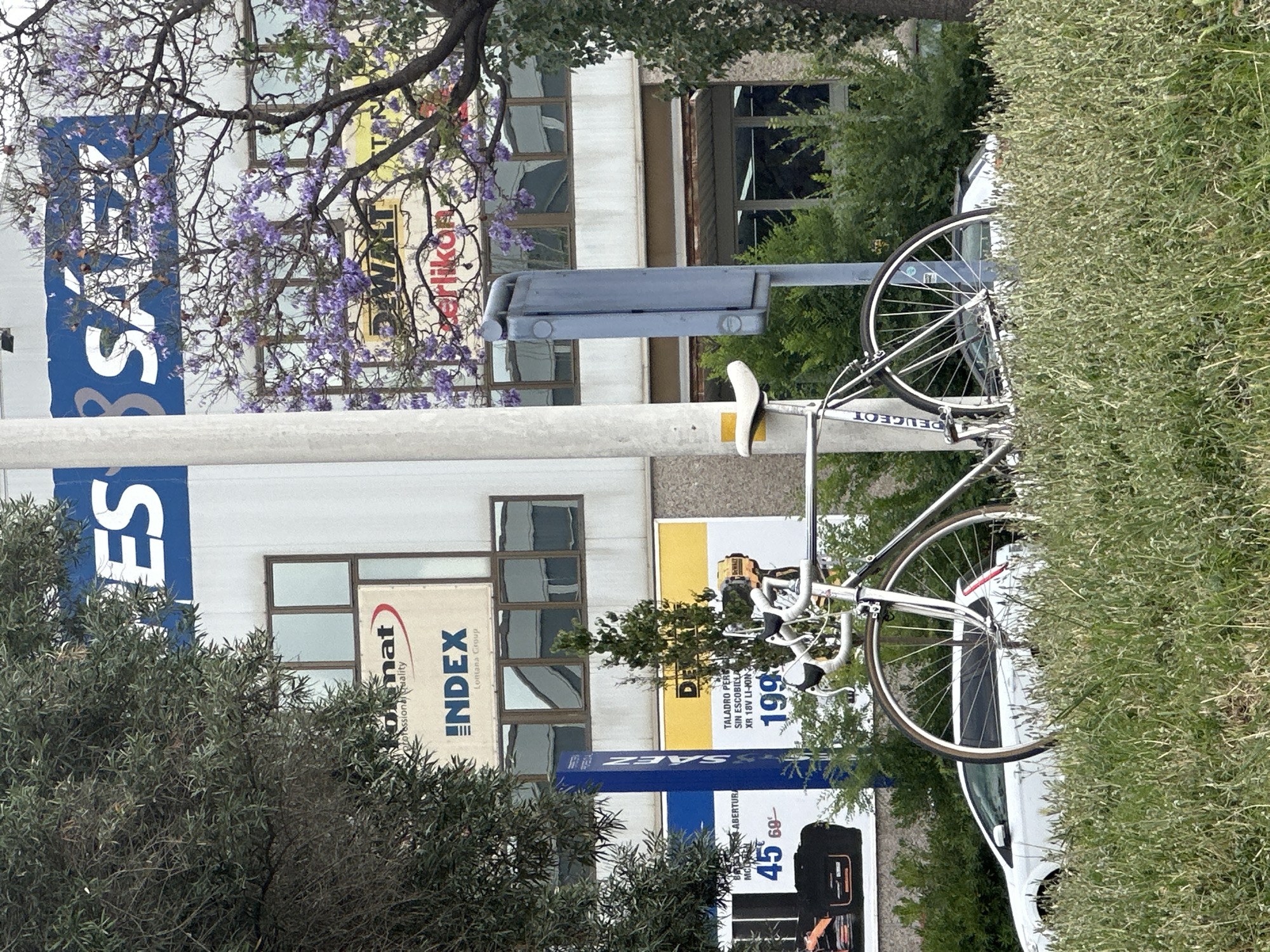 The image depicts an outdoor scene in L'Hospitalet de Llobregat, Spain, featuring a silver bicycle parked in front of a modern building. The building has large windows and signage that includes the words "FORMAT", "INDEX", "DEWALT", and "ERLIKON", suggesting it houses various businesses. A prominent blue and white sign displaying "ES" and "SAEZ" is visible at the top of the building. A blooming jacaranda tree with purple flowers adds a touch of color to the scene. In the background, a white car is parked on the street, partially obscured by tall green grass and bushes. A grey utility box is mounted on a pole near the bicycle. The overall environment appears to be an urban commercial area. There are no people visible in the image.