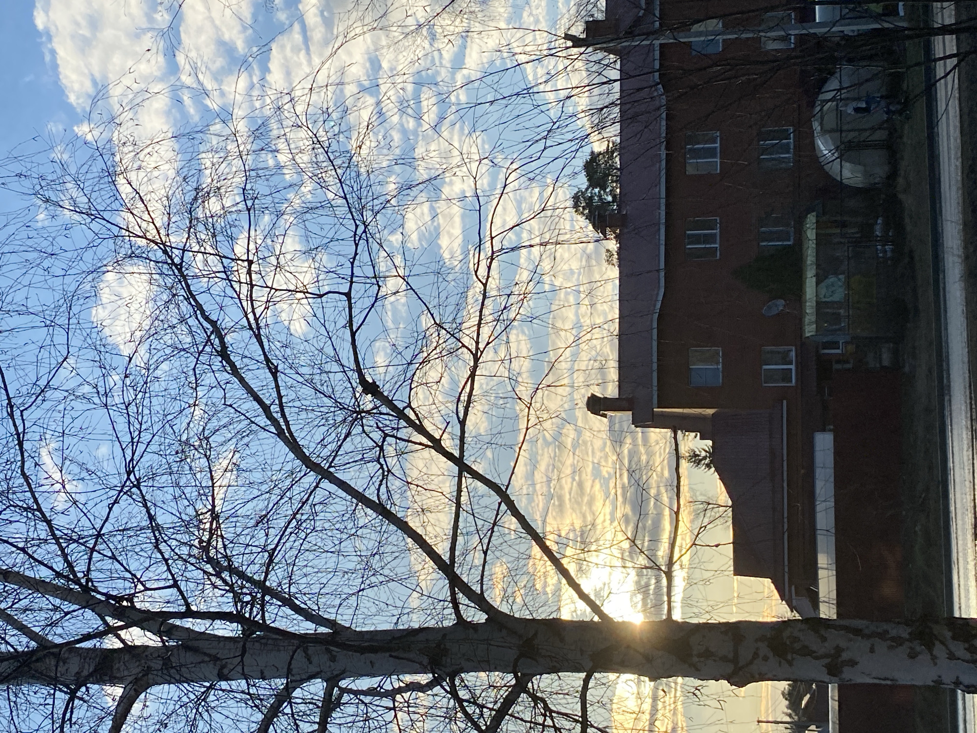 An outdoor scene capturing a portion of a multi-story brick building with multiple windows, positioned alongside a street. A bare tree with a prominent, horizontal trunk dominates the foreground, silhouetted against a bright, striped sky. The light appears to originate from behind the building. A cylindrical structure is visible on the building’s roof. The photograph is taken from the city of Noviy, Russia.