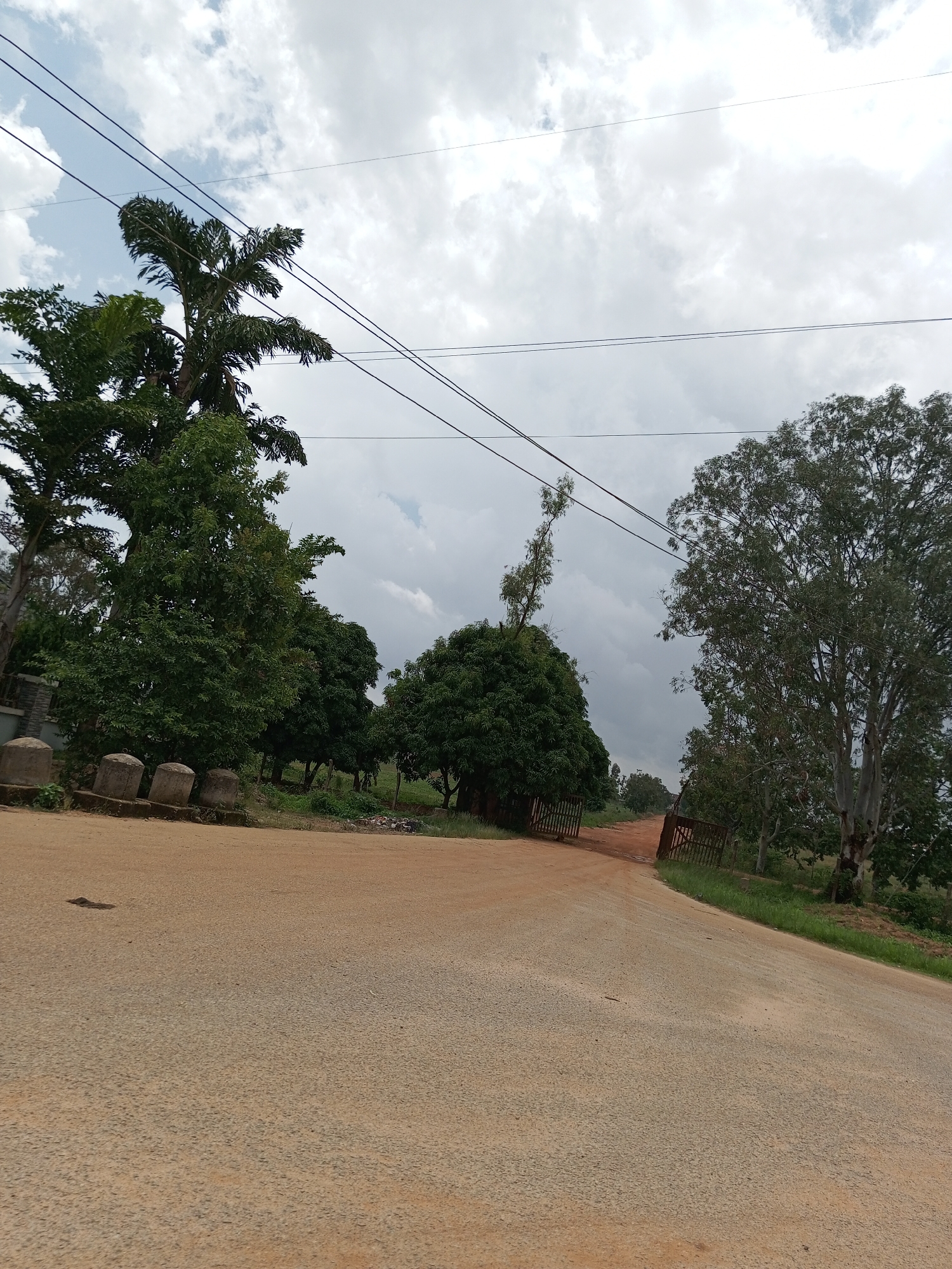The image shows an outdoor scene with a dirt road leading into an area with trees and a gate. The road takes up the foreground and is a sandy, reddish-brown color. The sky is cloudy and overcast, suggesting it might be a humid or rainy day. Several power lines are visible stretching across the sky.
On the left side of the road, there are several concrete cylindrical objects lined up. Behind these, there are various trees of different sizes and types. One tall palm-like tree stands out on the far left. Further into the scene, to the right of the trees, there's an open metal gate. Beyond the gate, the road continues and appears to lead into a more wooded area. A large, tall tree with a lighter-colored trunk is prominently featured on the right side of the image, with dense green foliage. The overall impression is a somewhat rural or undeveloped setting. There is no visible text in the image. The time of day appears to be daytime due to the general lighting.