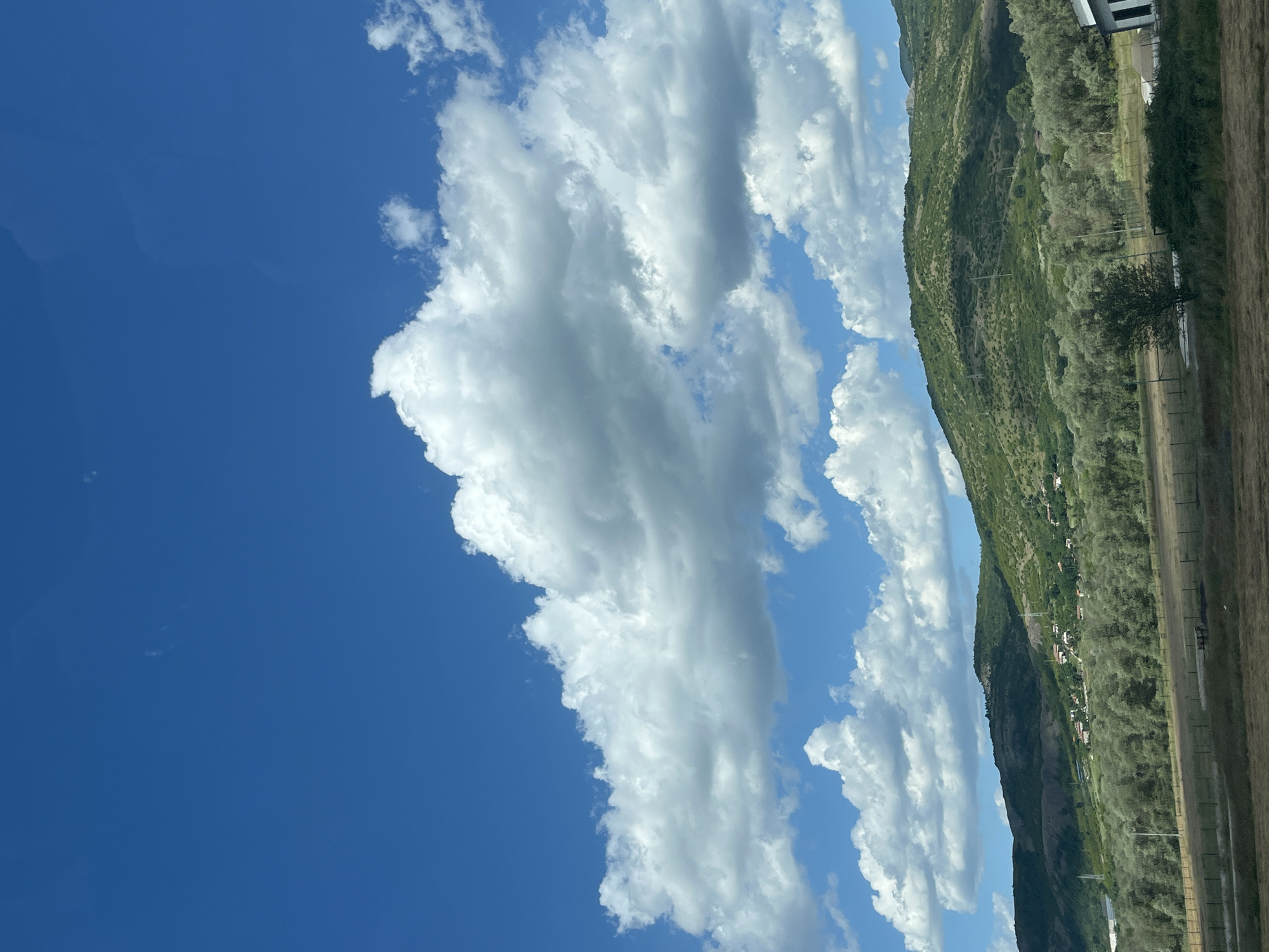 A horizontal, eye-level, medium shot captures a serene landscape under a bright blue sky. The sky is filled with a dynamic arrangement of fluffy white clouds, some appearing dense and shadowed, others wispy and illuminated by the sun. The lower half of the image transitions to a lush green hillside, dotted with a small cluster of white-roofed houses and scattered trees. A dense forest of olive trees with silvery-green foliage stretches across the mid-ground, forming a visual barrier between the hillside and the foreground. The foreground consists of a dry, brownish field enclosed by a wire fence. In the far right of the frame, a modern white building with dark window frames is partially visible. The scene is calm and appears to be set in the village of Sedlari, Bulgaria.