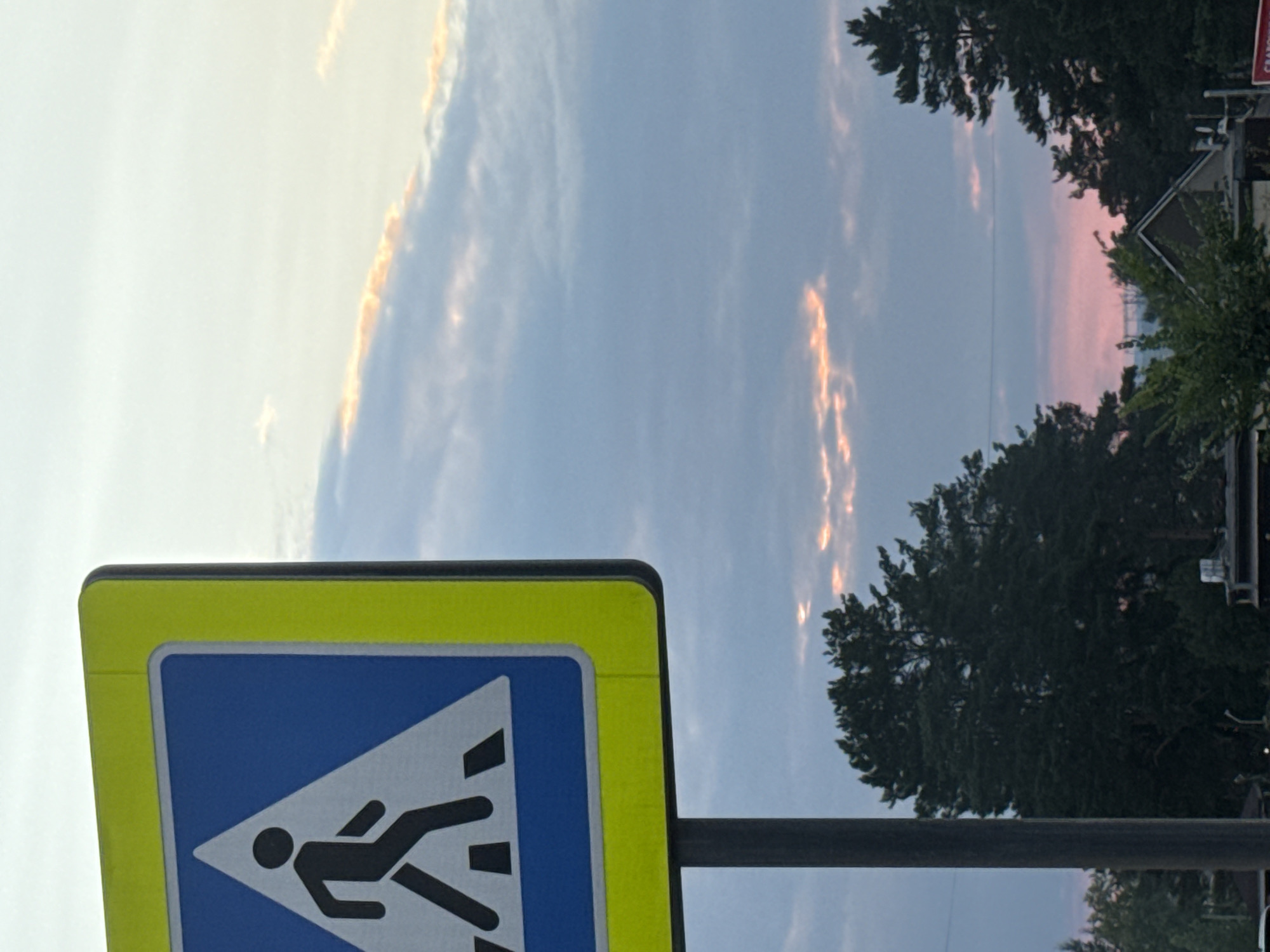 The image shows a pedestrian crossing sign against a twilight sky. The sign is triangular with a blue background and a white triangle inside, depicting a person walking. It has a bright yellow border. The sky is filled with clouds tinged with pink and orange, indicating either sunrise or sunset. Silhouetted against the sky are the dark shapes of evergreen trees and some indistinct buildings. The sign is mounted on a dark pole. The scene appears to be an outdoor public space, likely a roadside in Chaikovsky, Russia, given the context provided.