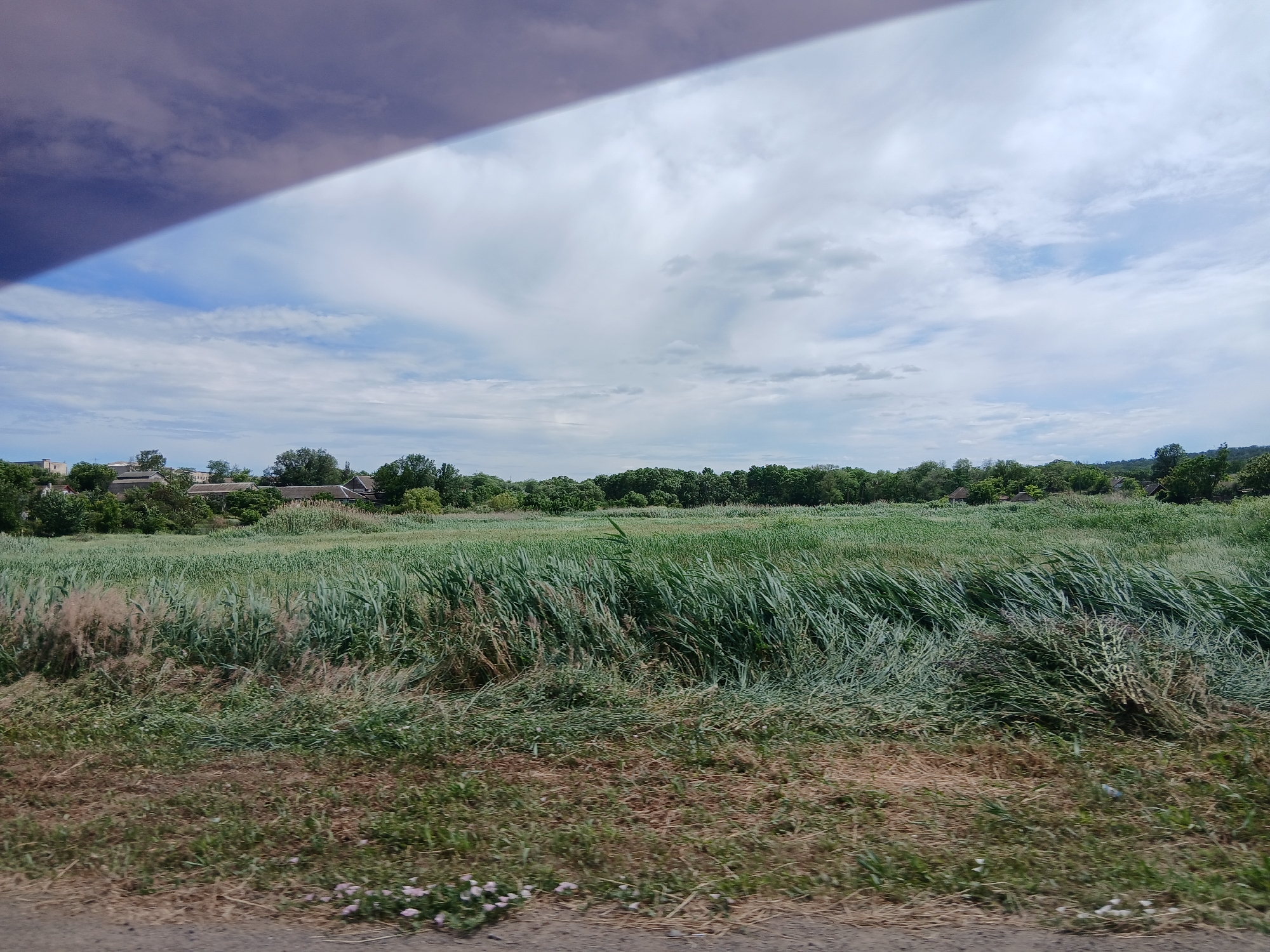 The image depicts a rural landscape in Kurisove, Ukraine, under a partly cloudy sky. The foreground shows dry grass and some small pink flowers. Beyond the dry grass is a field of tall, green grass that appears to be rustling in the wind. In the middle ground, there is a line of trees, and behind them, several buildings with roofs are visible, suggesting a small village or settlement. The background is dominated by the sky, with large clouds partially obscuring the blue. The overall impression is of a natural, somewhat wild, and undeveloped area.