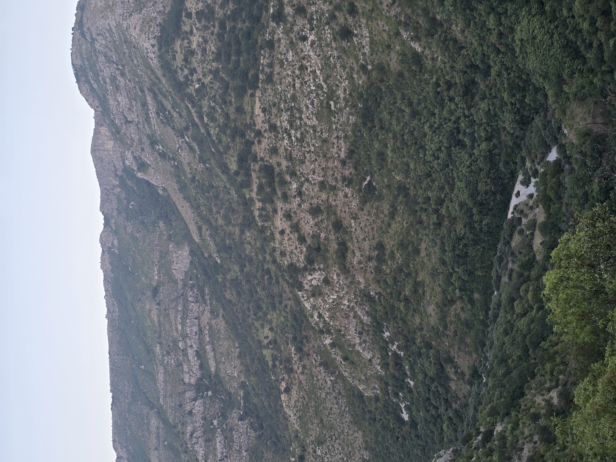 The image depicts a wide, elevated view of a mountainous landscape, likely in Klopot, Montenegro. The foreground features dense green foliage, transitioning into a valley floor with a visible riverbed or dry stream. The middle ground is dominated by steep, rocky slopes covered with scrubby vegetation and scattered trees, giving way to larger forested areas further up the mountain. The background shows the crest of the mountain range, characterized by layered rock formations and a sparse, lighter green scrub. The sky is a pale, uniform blue, indicating daylight. There are no visible people or man-made structures in the immediate scene.