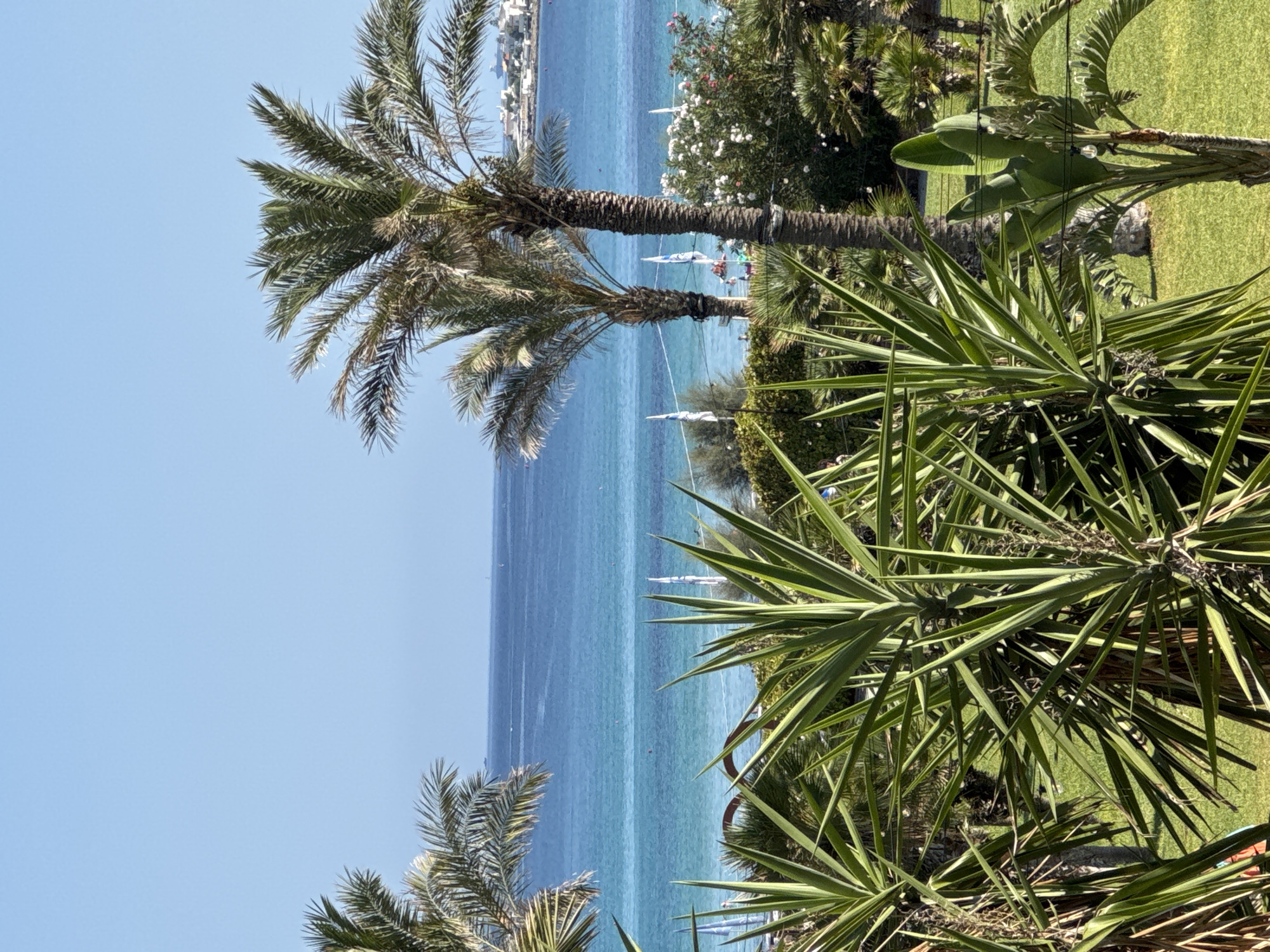 The image depicts a sunlit coastal scene in Isola delle Femmine, Italy, likely from a vantage point overlooking the Mediterranean Sea. In the foreground, lush green grass and various tropical plants, including palm trees and spiky yucca-like plants, dominate the lower half of the frame. Beyond the vegetation, the vibrant turquoise waters of the sea stretch out to the horizon, meeting a clear blue sky. A thin line of distant land, possibly part of the Isola delle Femmine coastline with buildings and a ship, is visible on the right side of the horizon. Scattered on the water are several small boats and what appear to be white flags or buoys. Some people are visible near the water's edge, appearing to be enjoying the beach. The overall atmosphere is one of a serene and idyllic summer day in a coastal resort town.