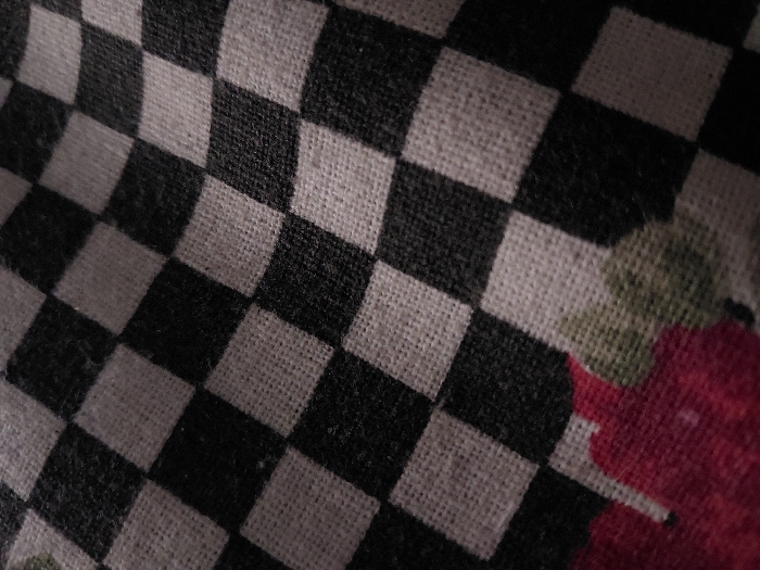 The image shows a close-up of a black and white checkered fabric. The fabric is a woven textile with a distinct checkered pattern. There are two red rose-like flowers at the bottom of the image, partially visible. The location (latitude: 26.194, longitude: 78.157) is in the city of Gwalior, India.